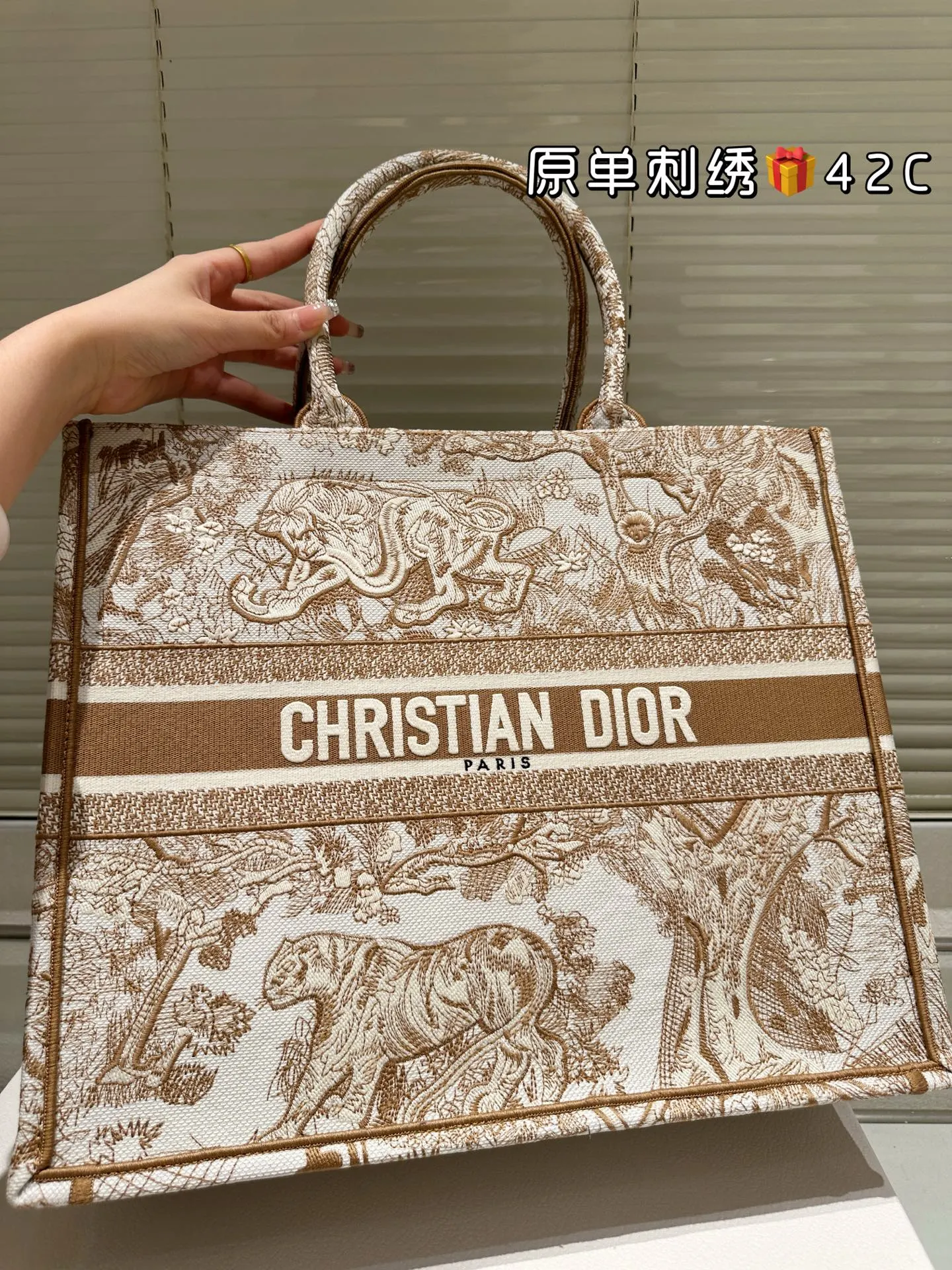 Dior Monogram Tote Bag