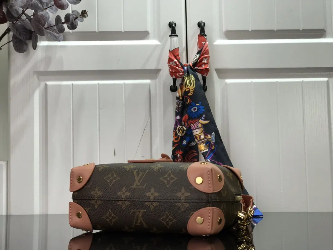 LV 帆布 详细特征 厘米 链条包 精致链条款