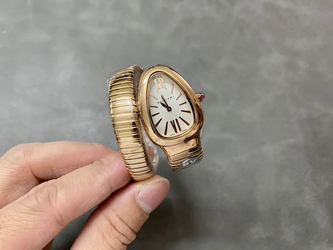 Bottega Veneta 手表 经典腕表款