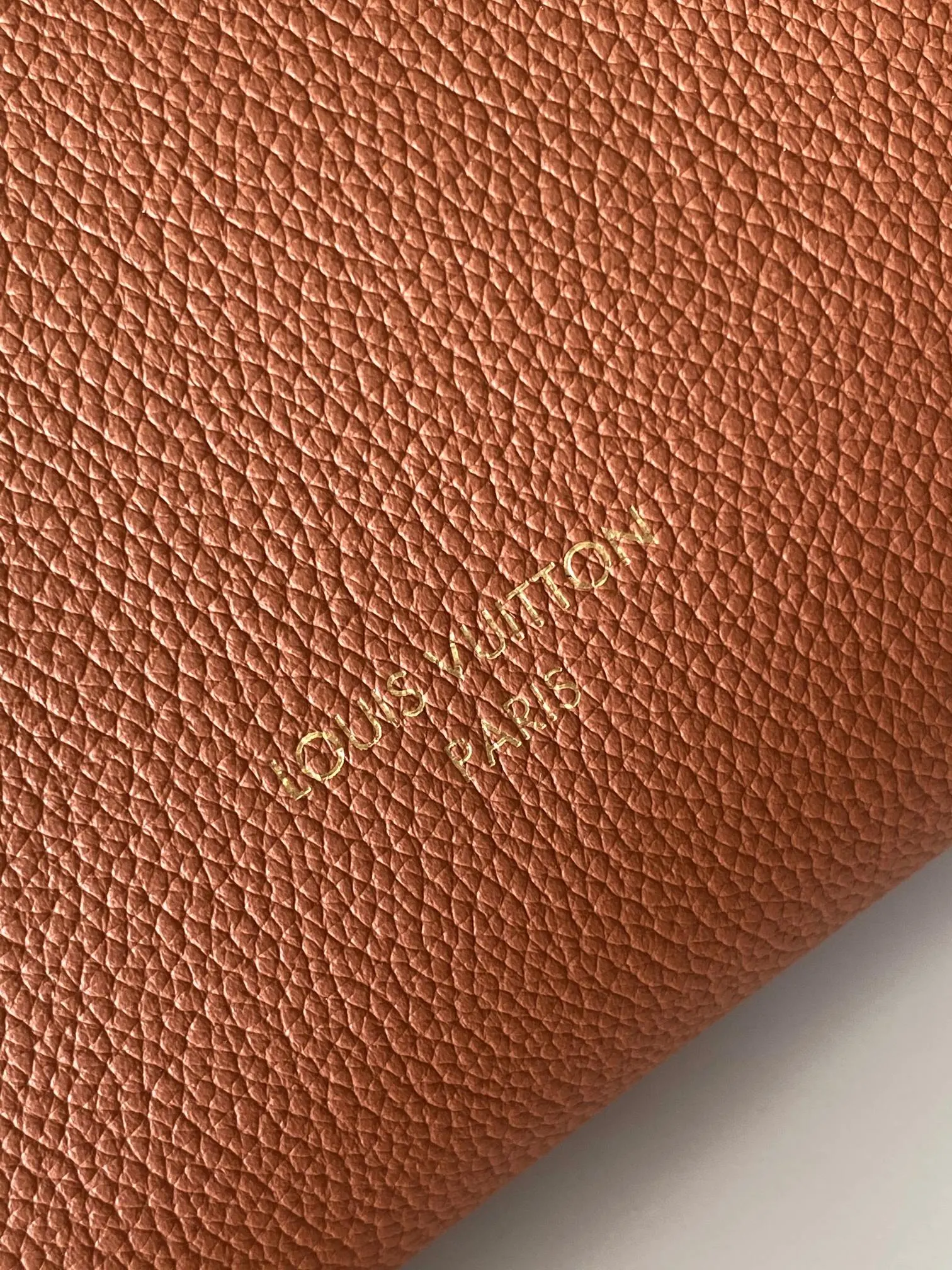 Louis Vuitton M25354 棕色 单肩包