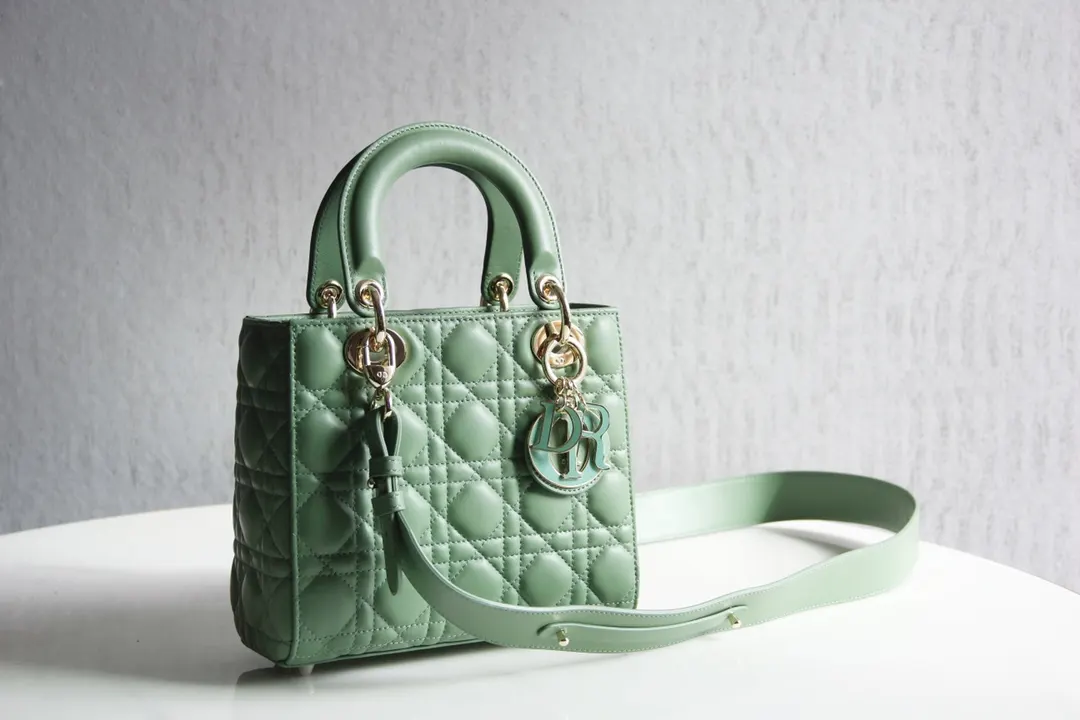 Dior Lady 收納包 旅行收納款