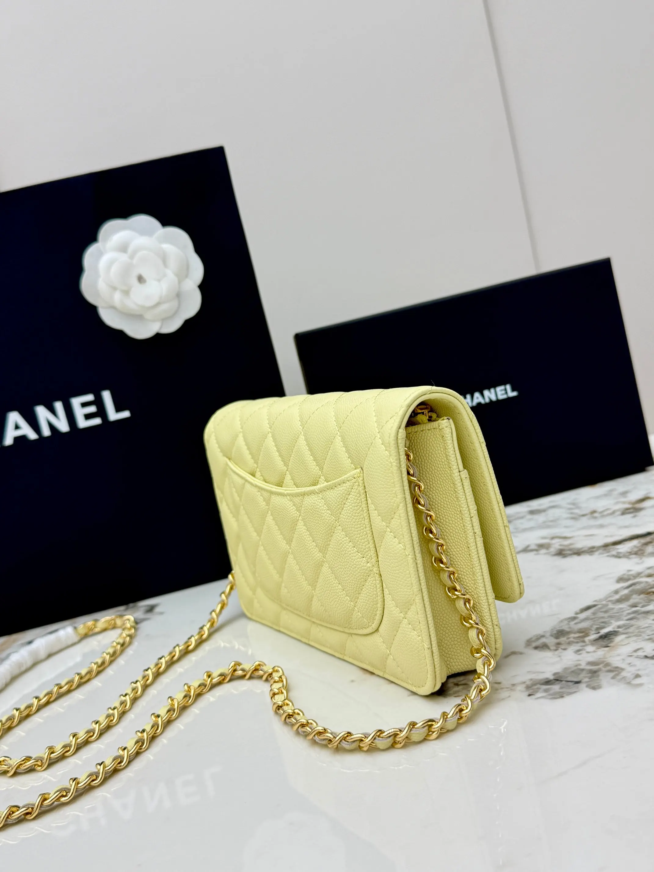 Chanel Chain Bag Leather
