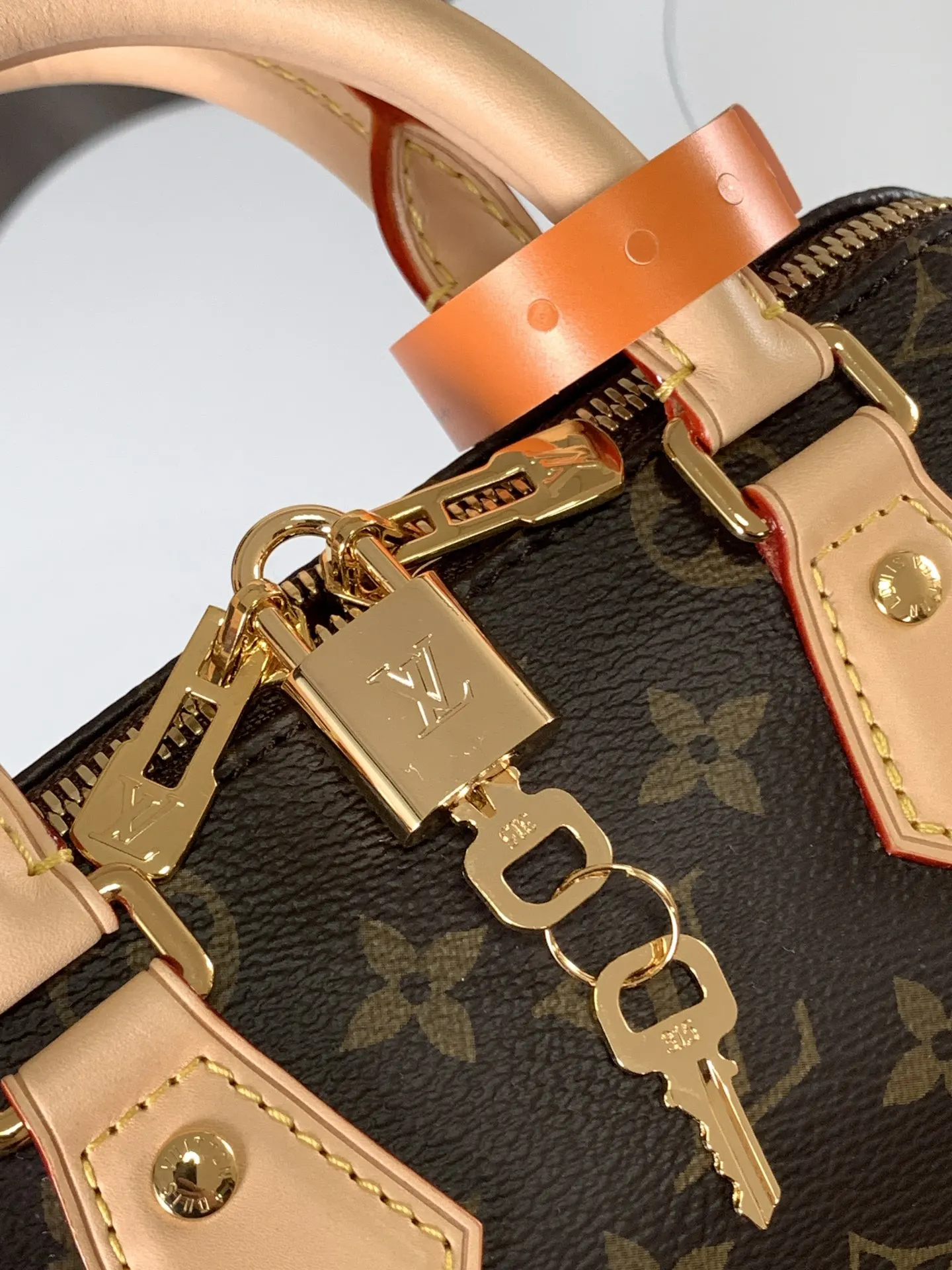 Louis Vuitton M46222 Handbag