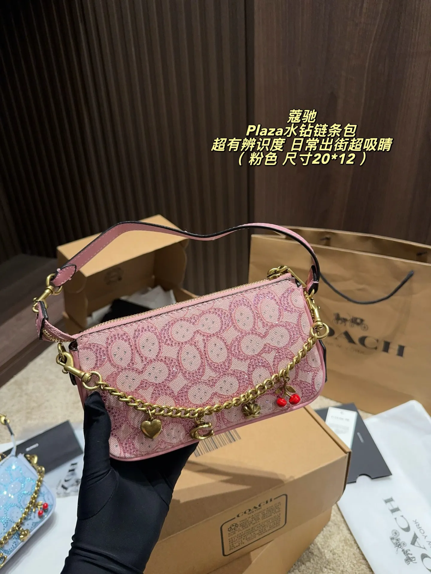 Red Chain Bag