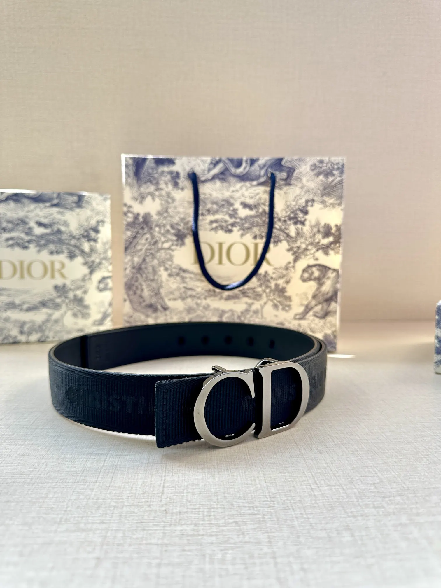 Dior 黑色Oblique腰带 金色CD扣
