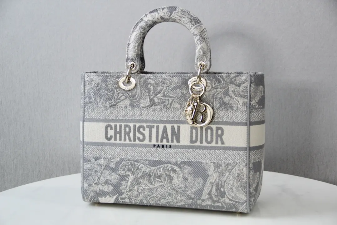 Dior 灰色 金色 斜背包 輕便斜挎款