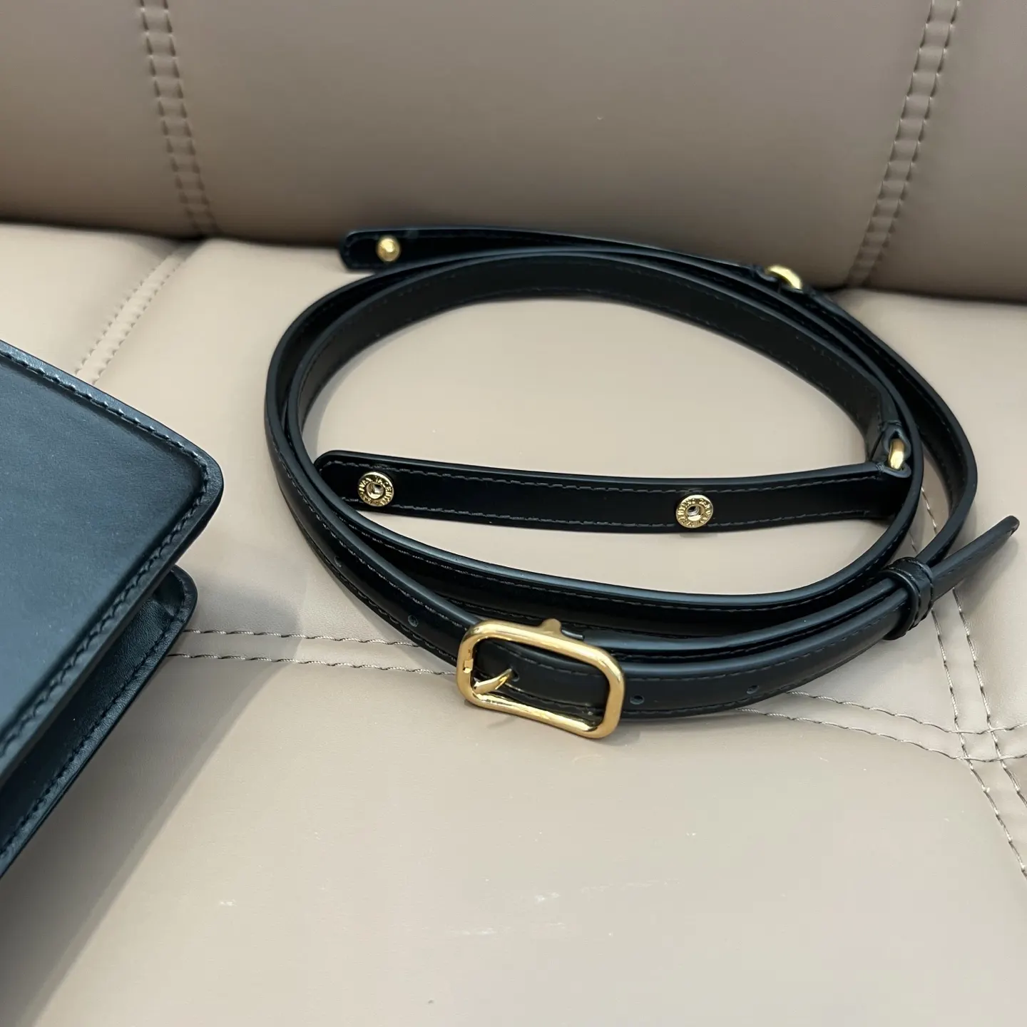 Gold Chain Bag Leather