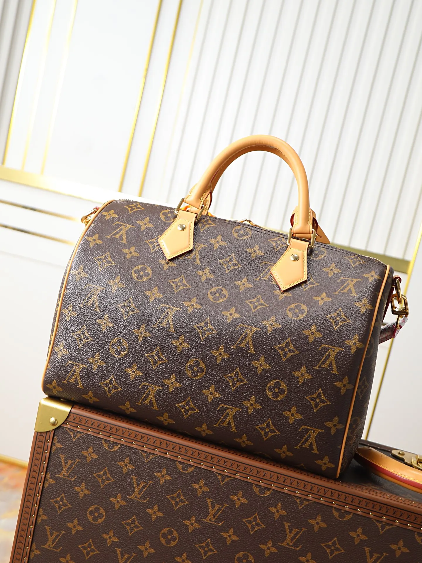 LV Speedy 帆布 收纳包 旅行收纳款