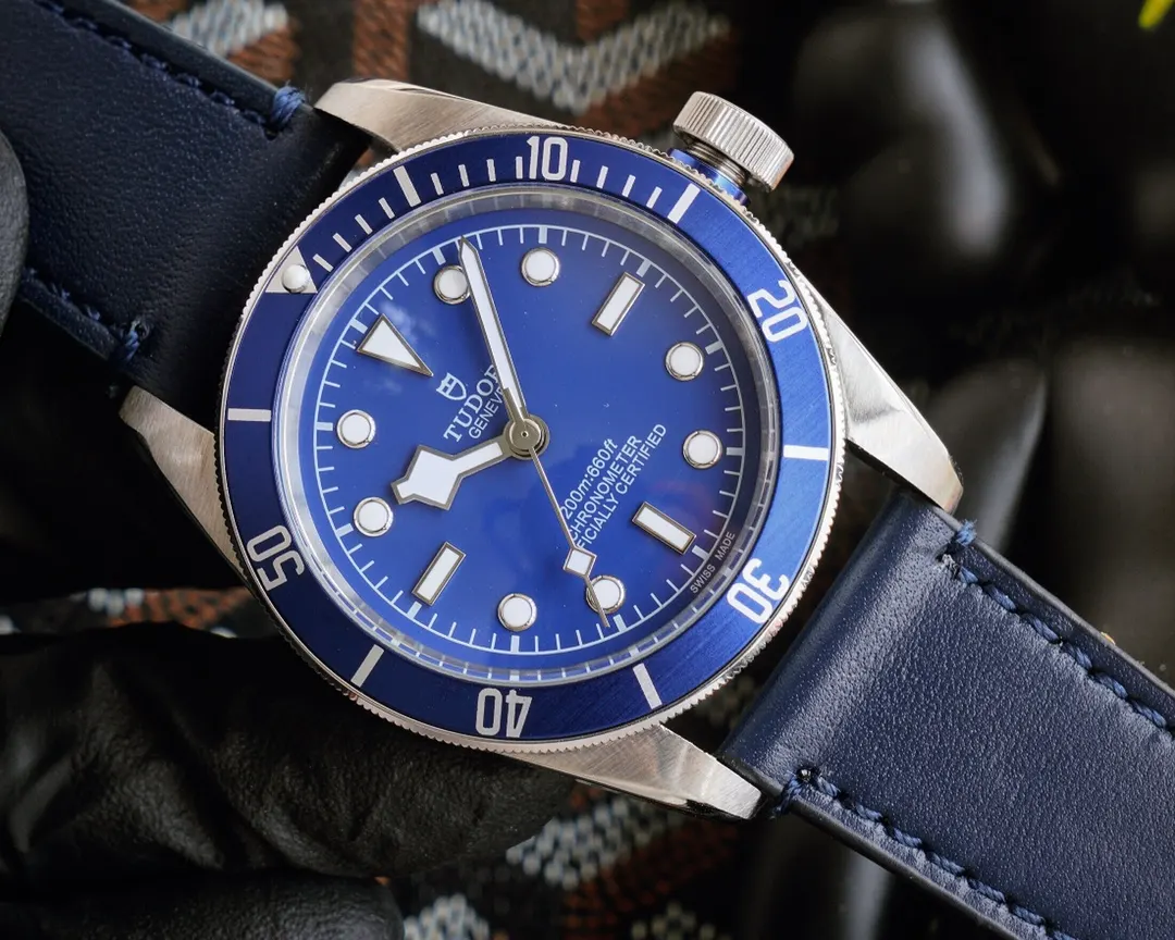 Tudor 盒 顺丰包邮 帝舵 碧湾型系列 搭 手錶 經典腕表款