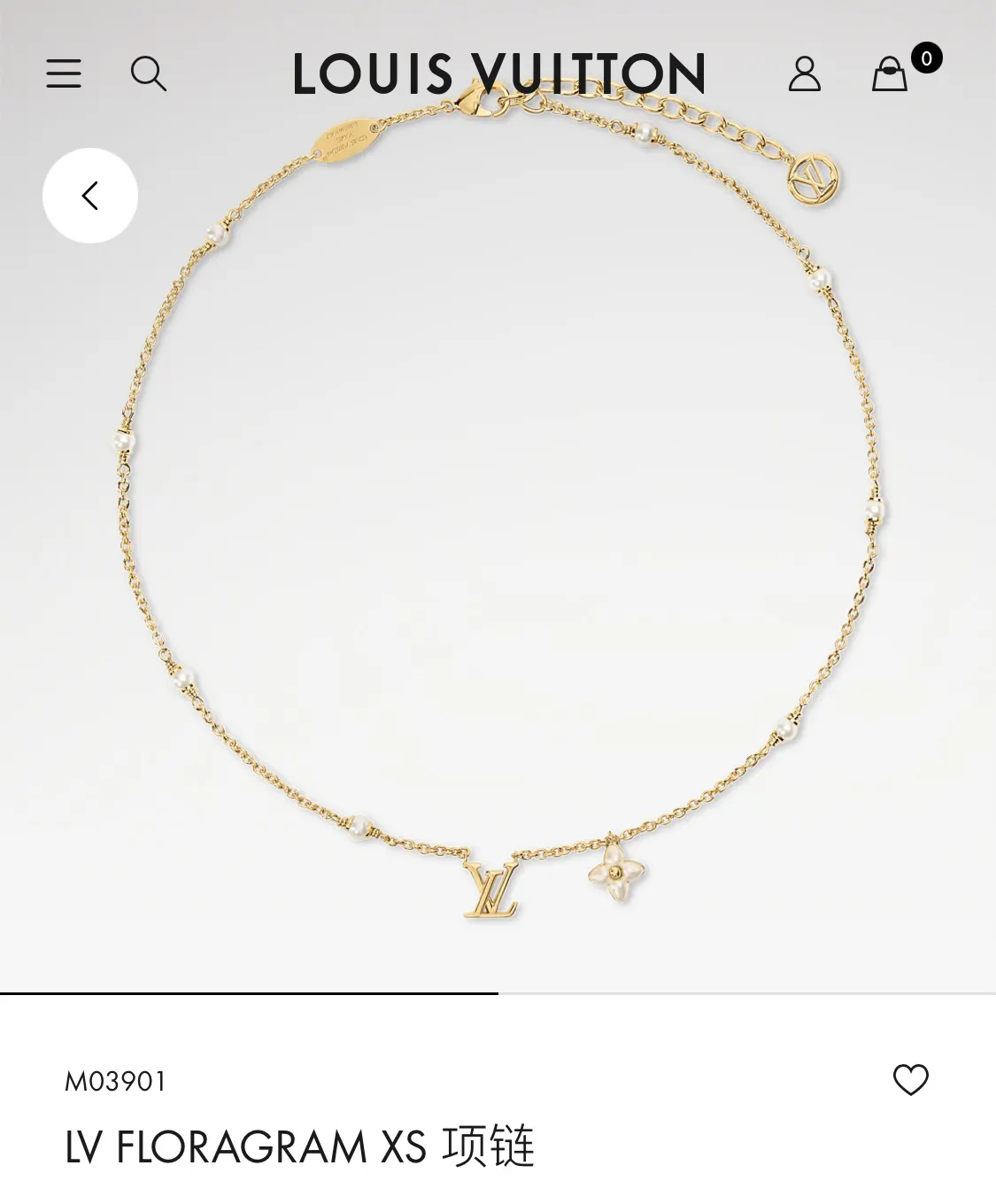 Louis Vuitton Fashion Item