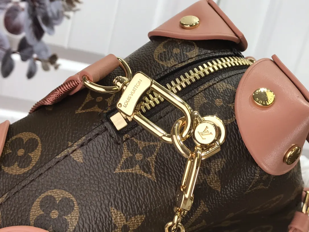 LV 帆布 详细特征 厘米 链条包 精致链条款