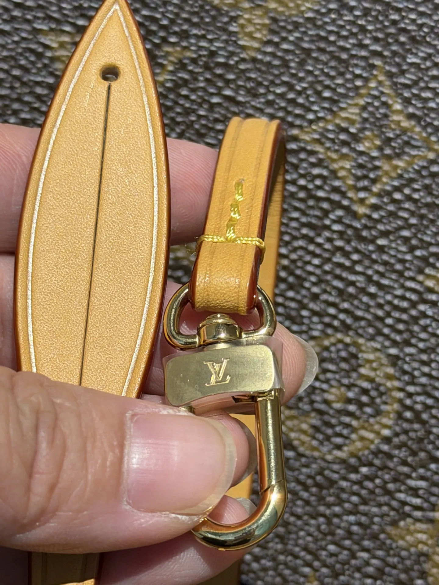 Louis Vuitton M46203 Handbag