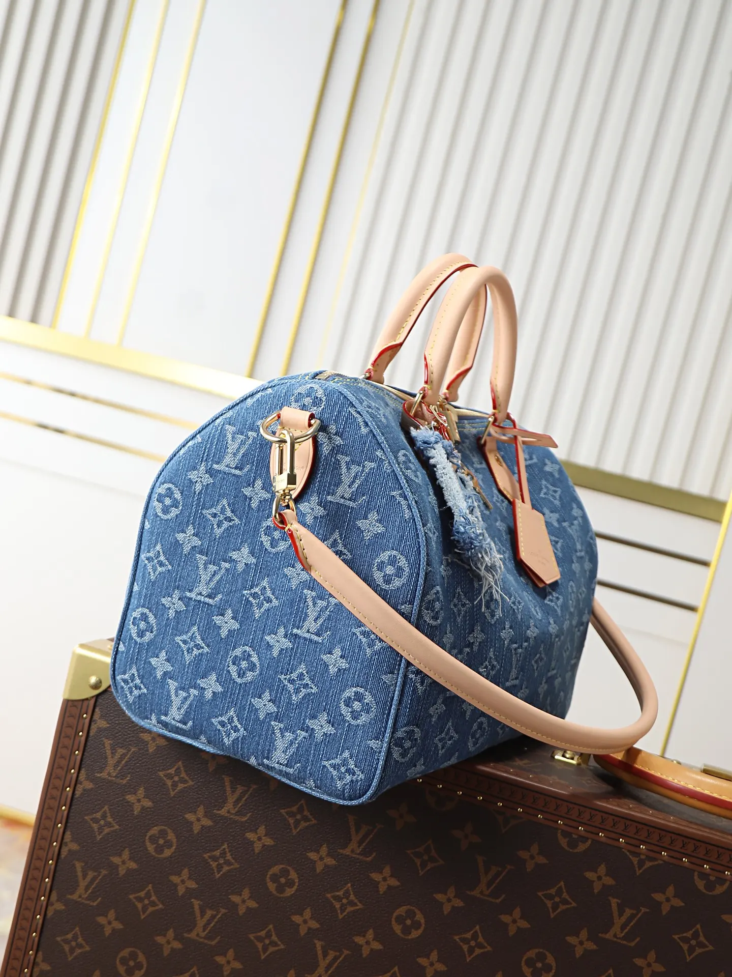 Louis Vuitton Organizer Pouch Travel