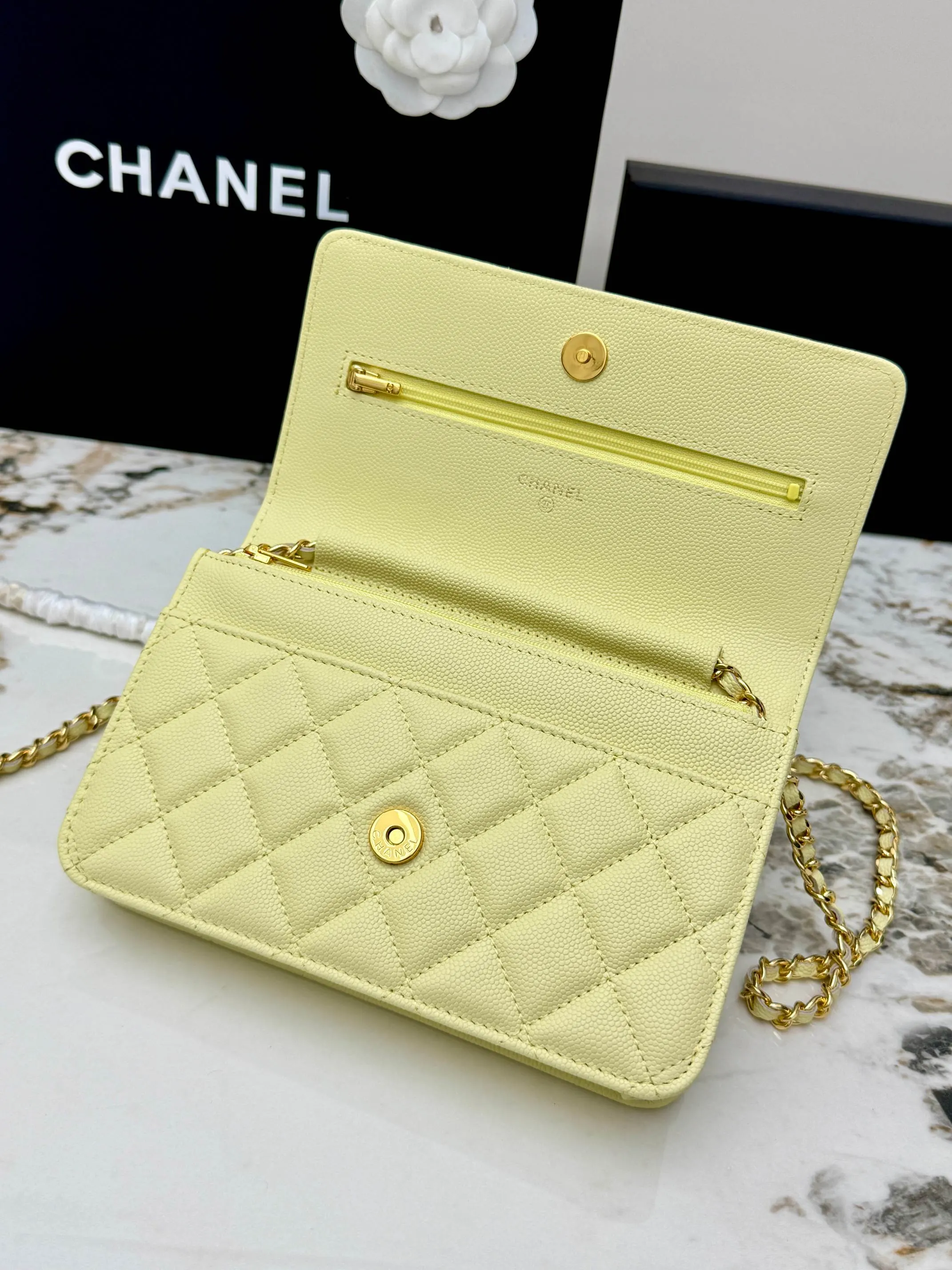 Chanel Chain Bag Leather