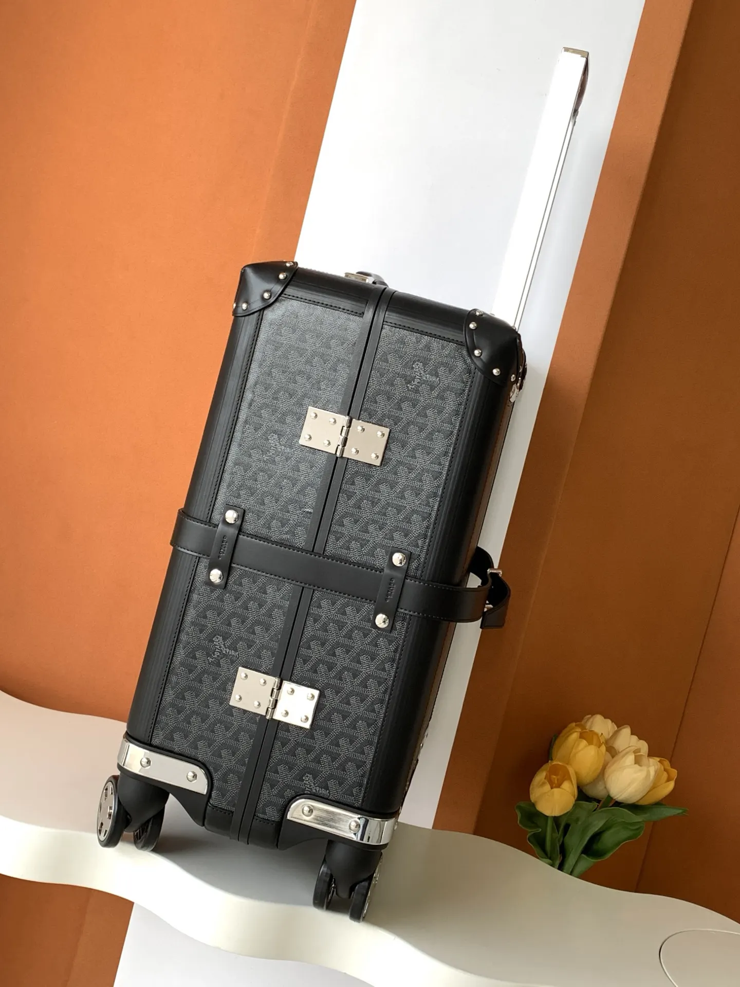 Goyard Black White Suitcase Travel Lightweight