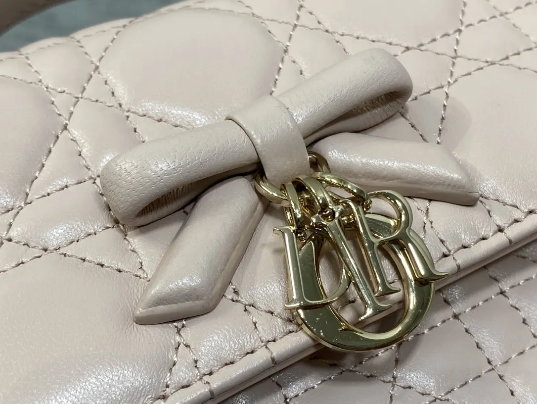 Dior Red Crossbody Bag
