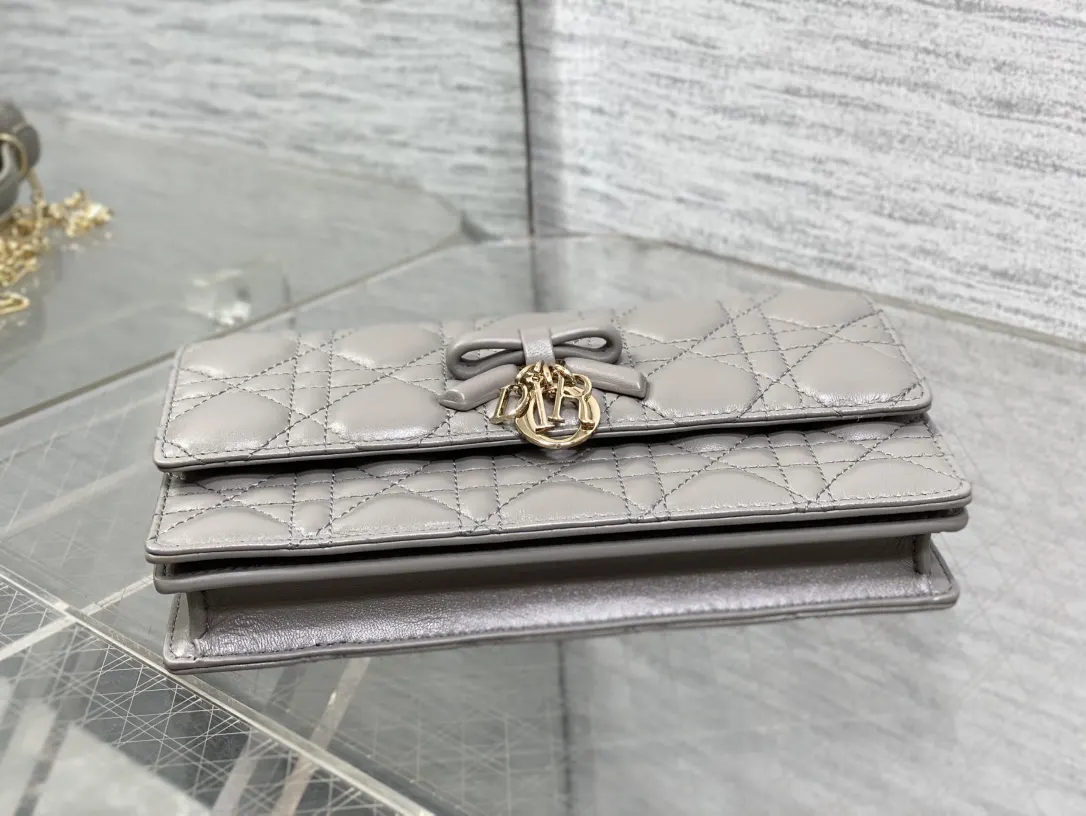 Dior 灰色 皮革 手拿包