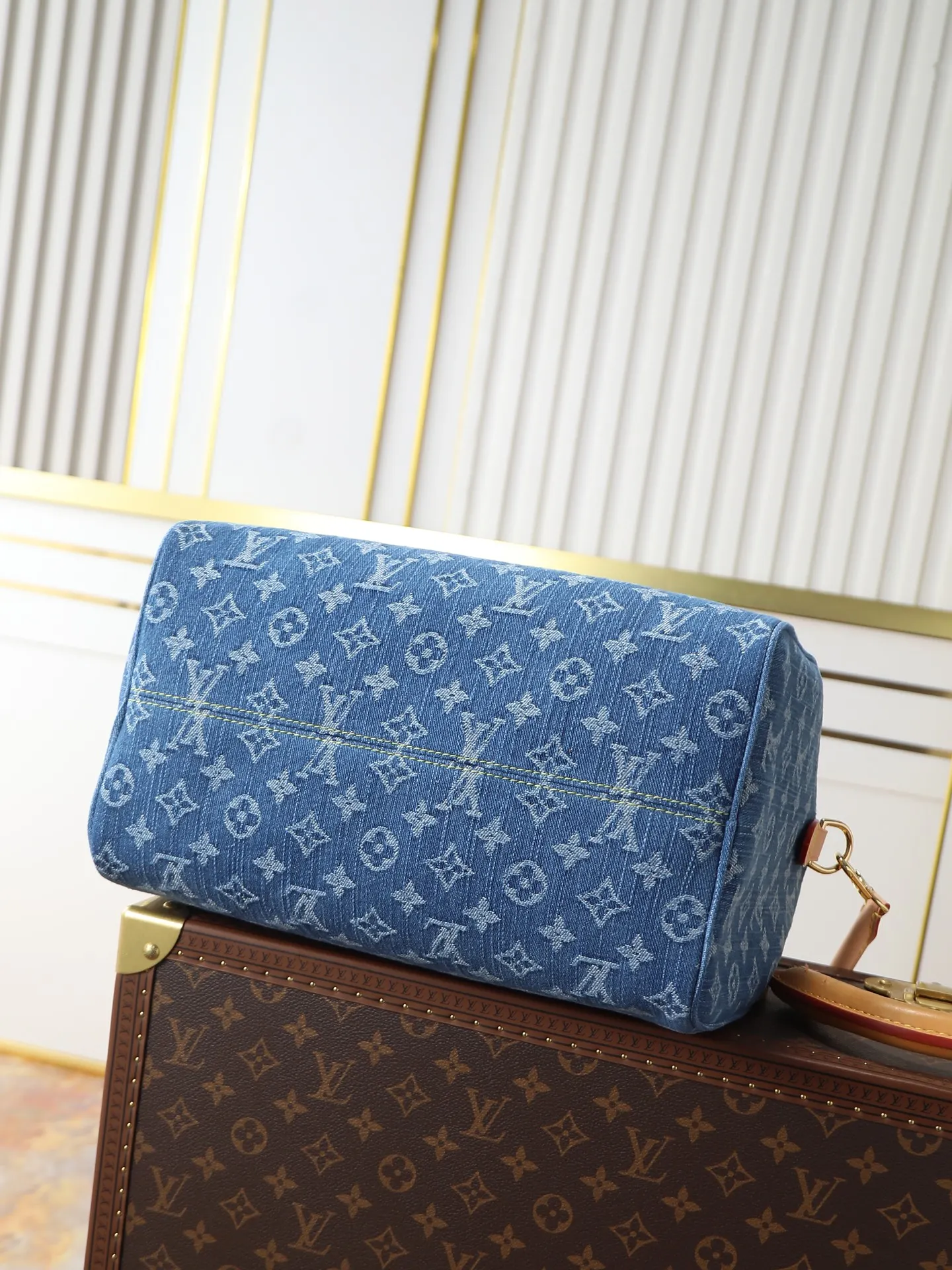 Louis Vuitton Organizer Pouch Travel