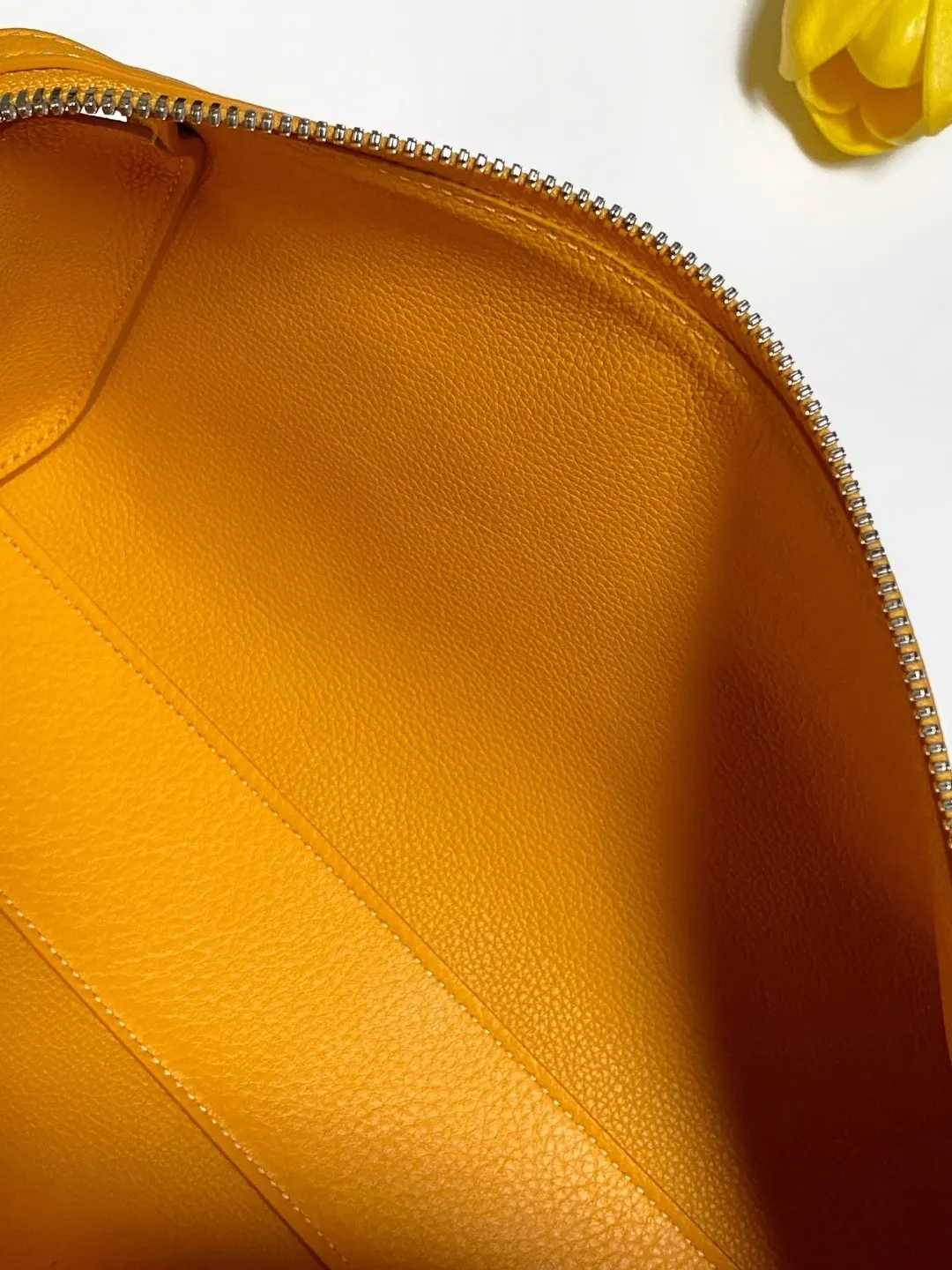 Goyard 皮革 bonbonniere BONBONNIER 双肩包 实用双肩款