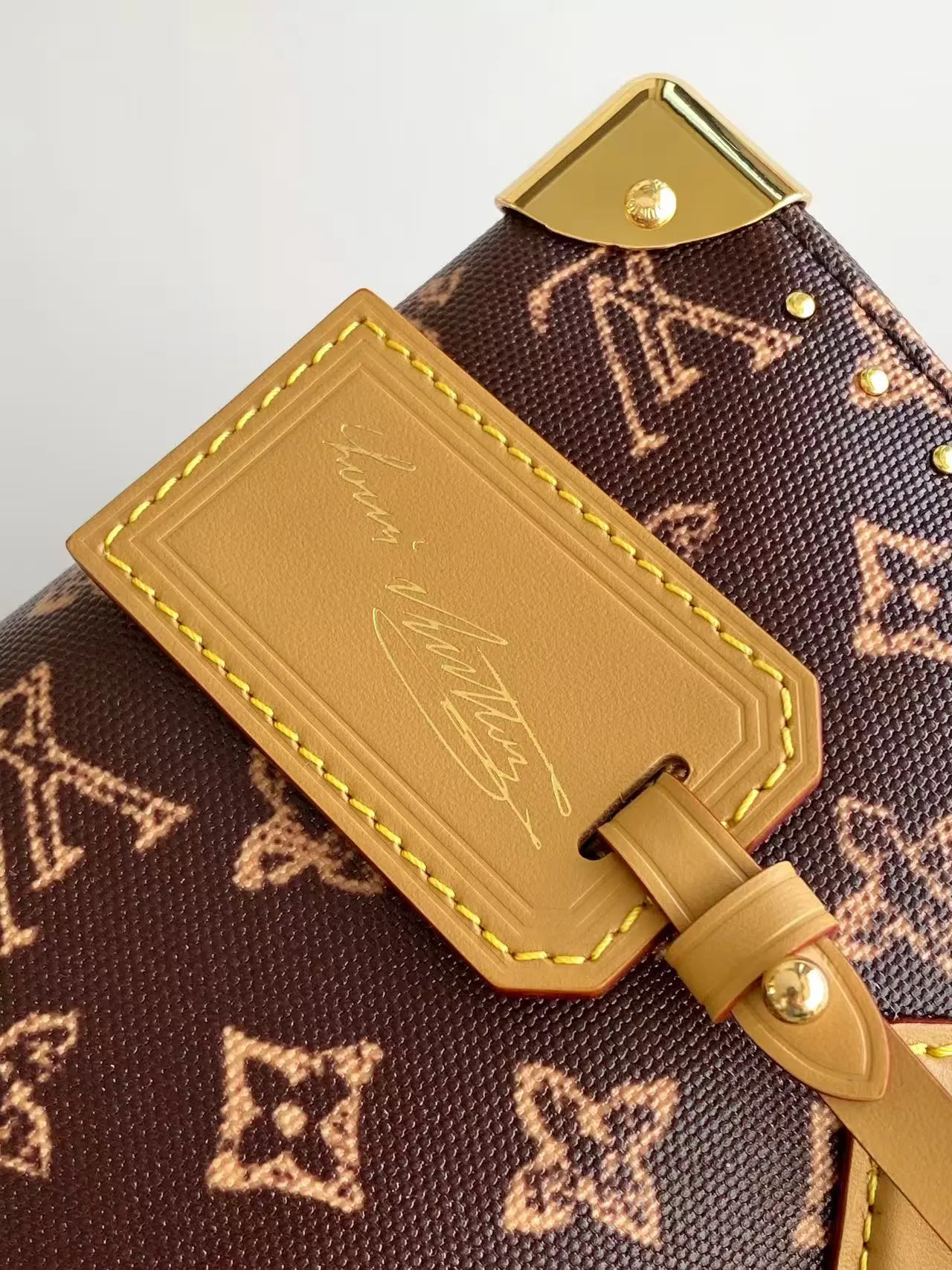 Louis Vuitton Chain Bag Leather