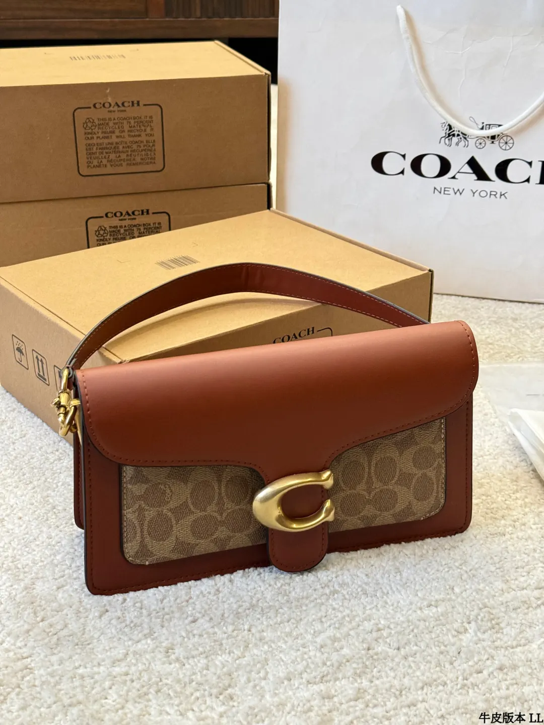 Coach 銀色 牛皮 Tabby 收納包 旅行收納款