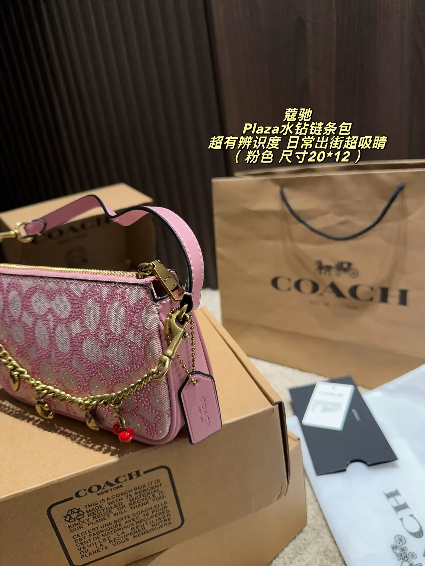 Red Chain Bag