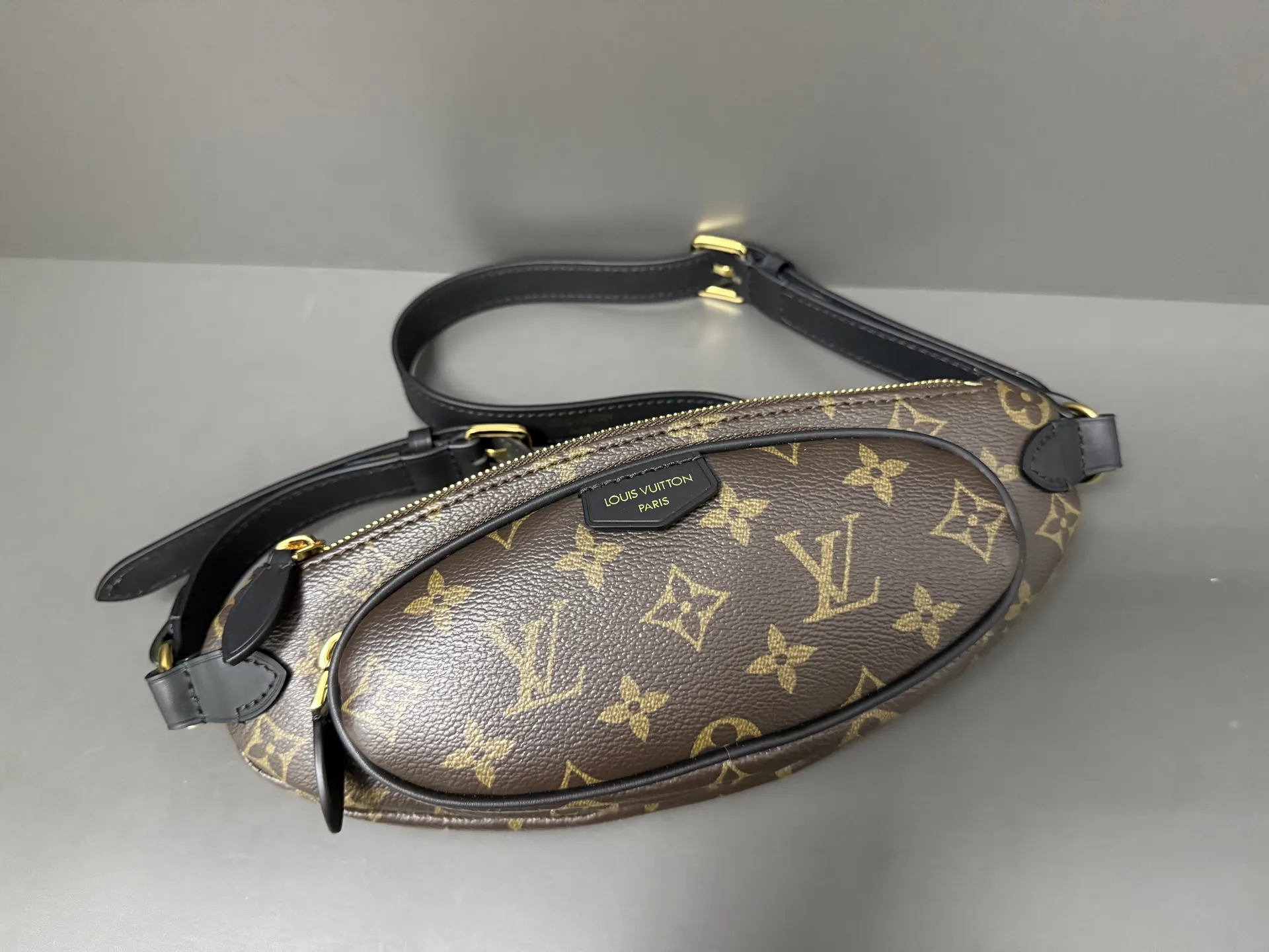 Louis Vuitton Belt Bag Casual Canvas