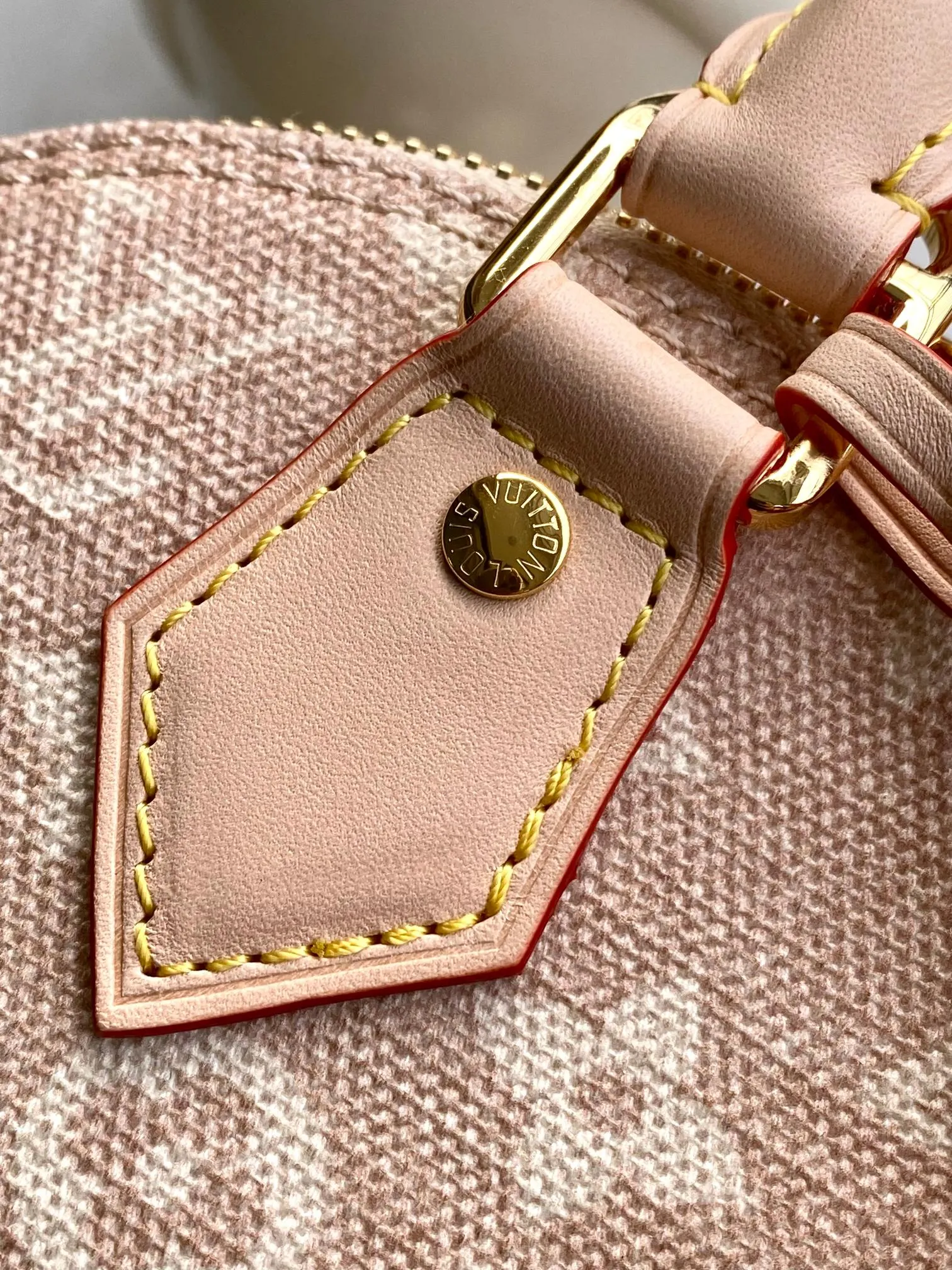 Louis Vuitton Alma 皮革 手提包