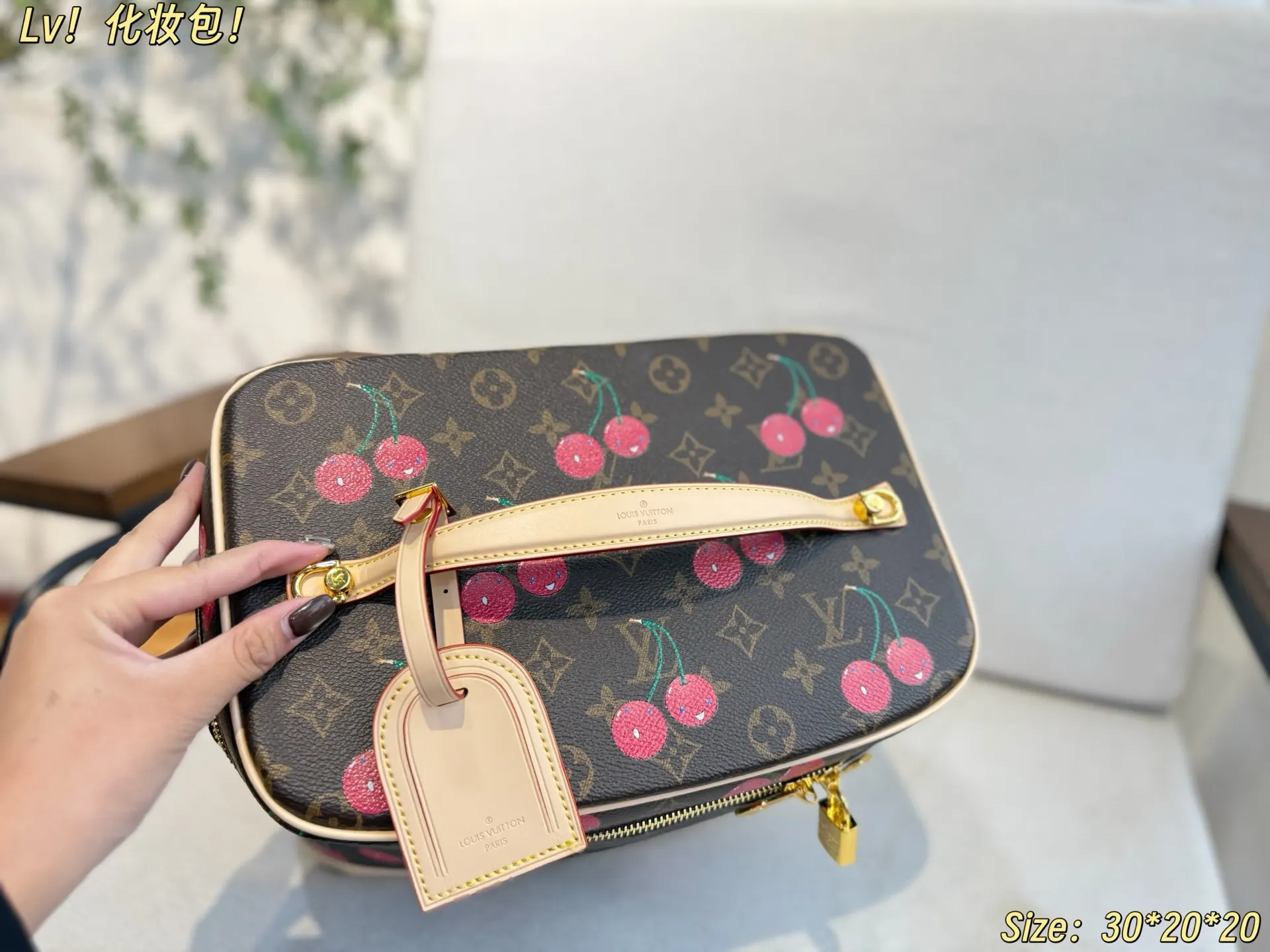 Louis Vuitton Cosmetic Pouch