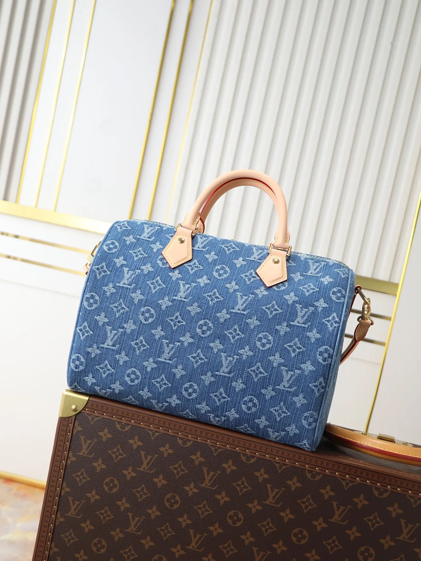 Louis Vuitton Organizer Pouch Travel