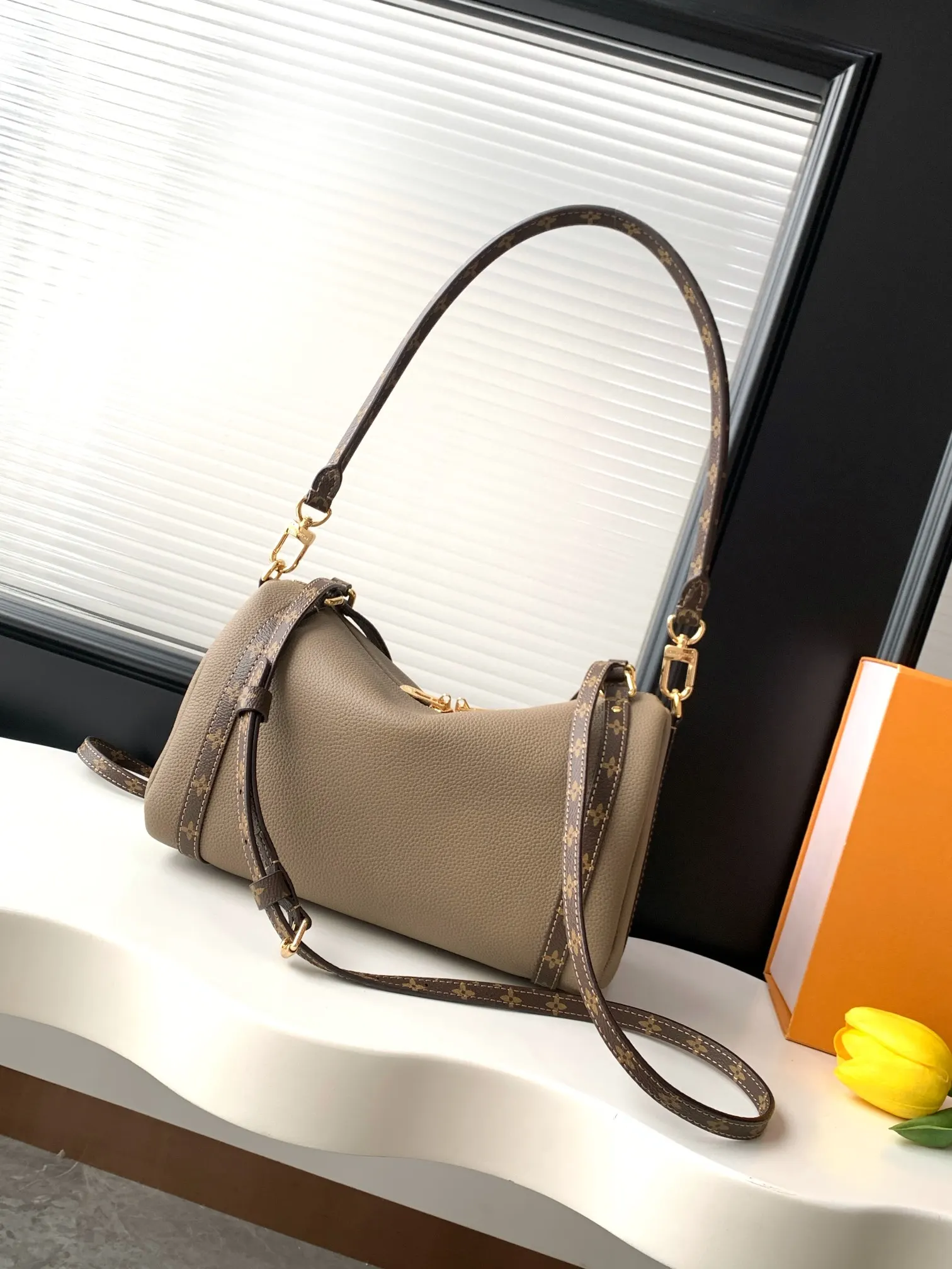 Louis Vuitton Gray Fashion Item Travel Leather