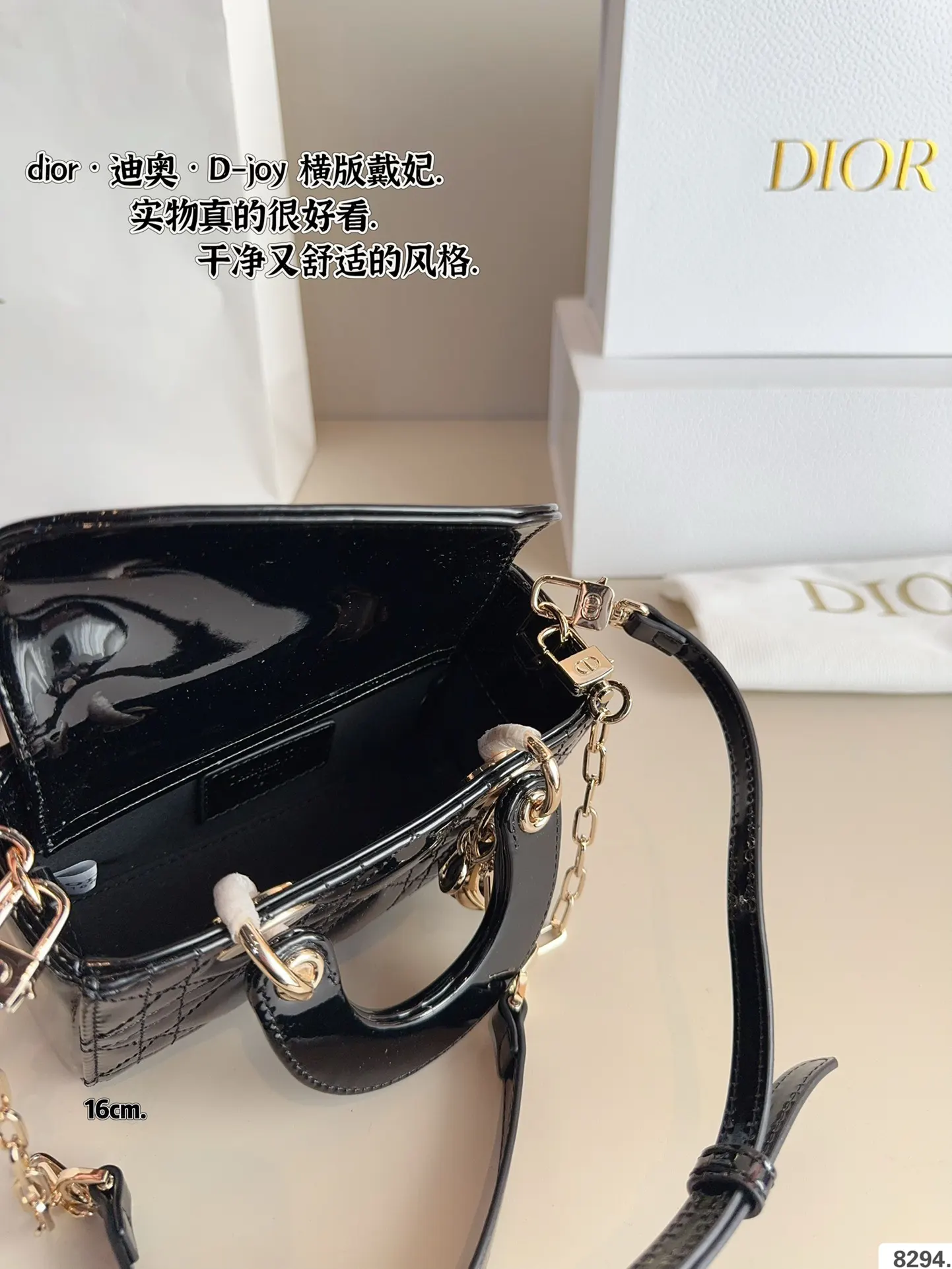 Dior 漆皮 全套 戴妃 横版 漆皮纹 夏日必备单 斜背包 輕便斜挎款