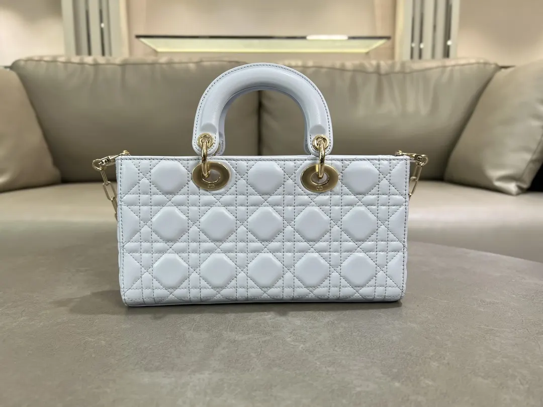 Dior Gold Chain Bag