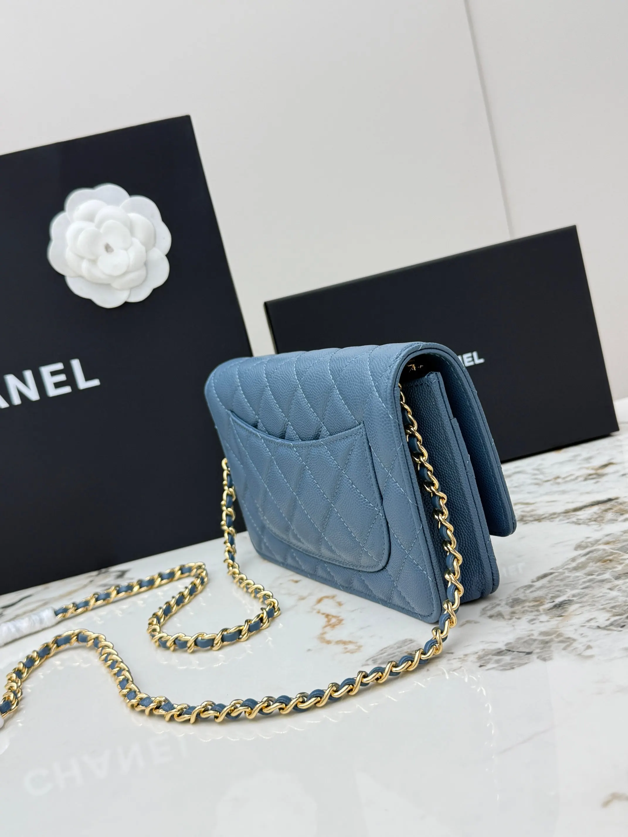 Chanel Chain Bag Leather