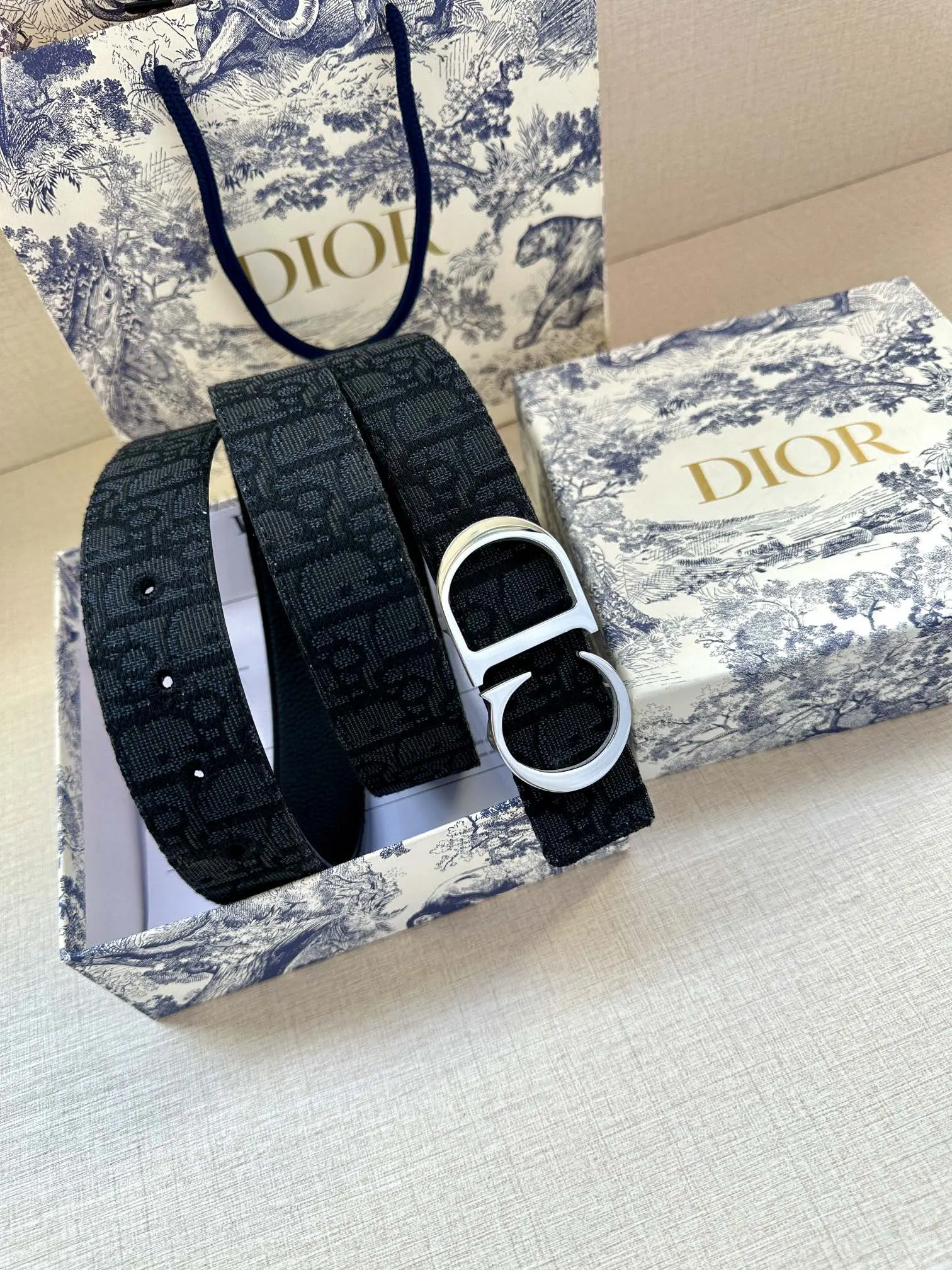 Dior 黑色Oblique腰带 CD金扣款