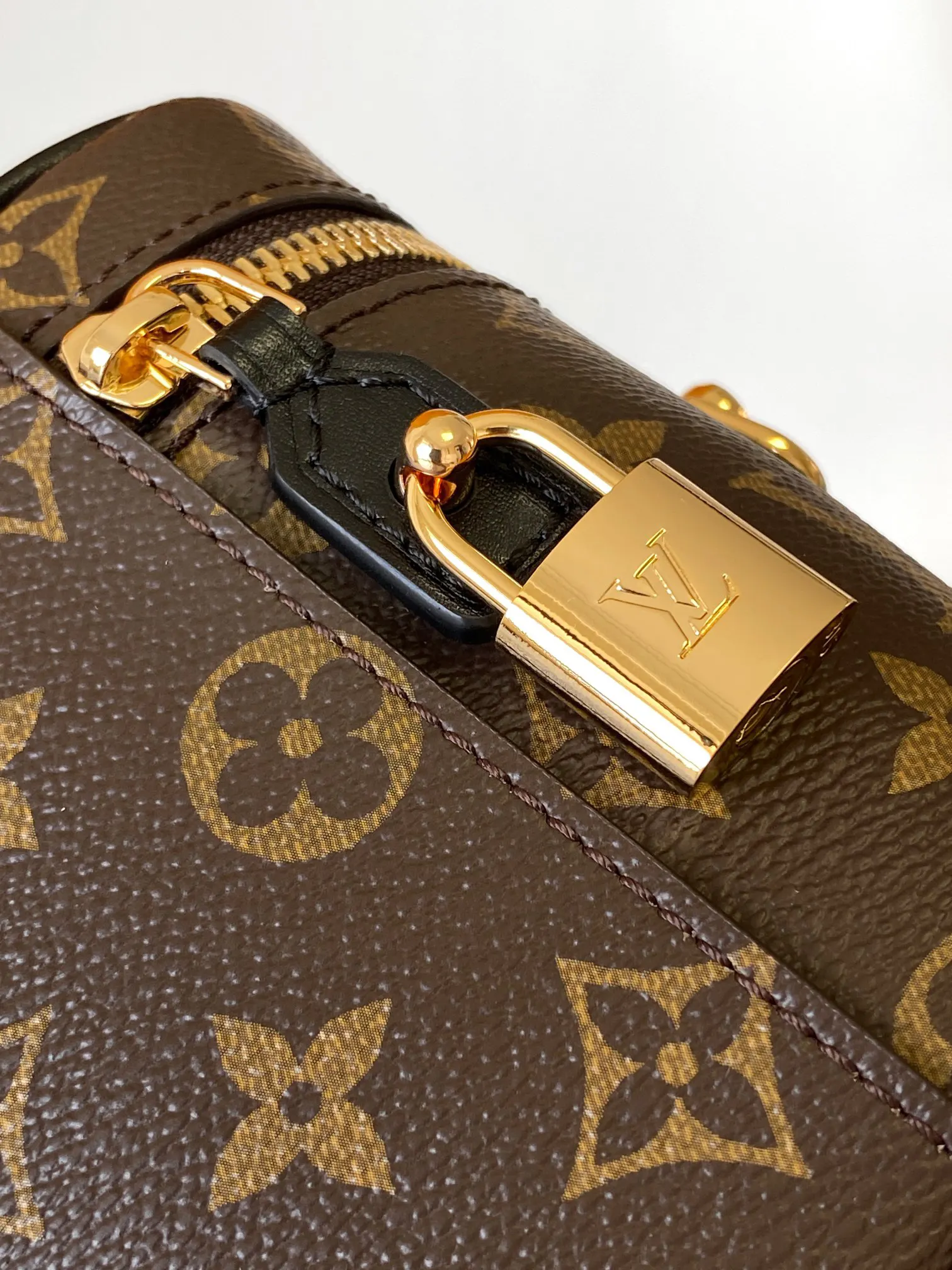 Louis Vuitton Chain Bag Canvas