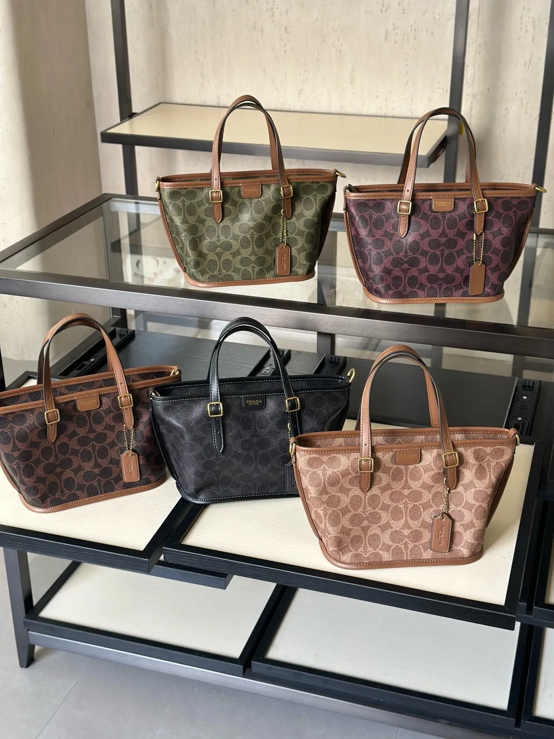 Brown Tote Bag