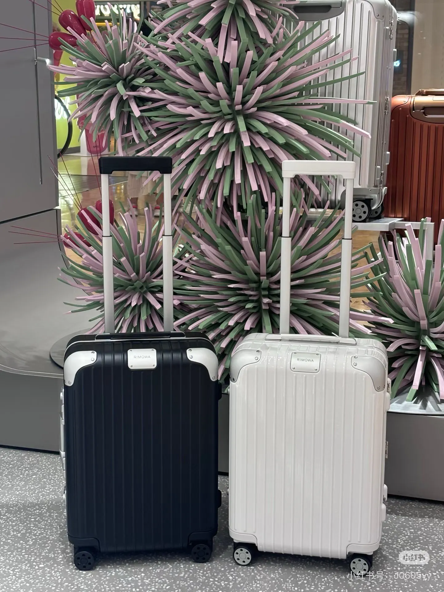 Hybrid 全系列 3寸 黑 行李箱 旅行拉杆款 輕便出行款
