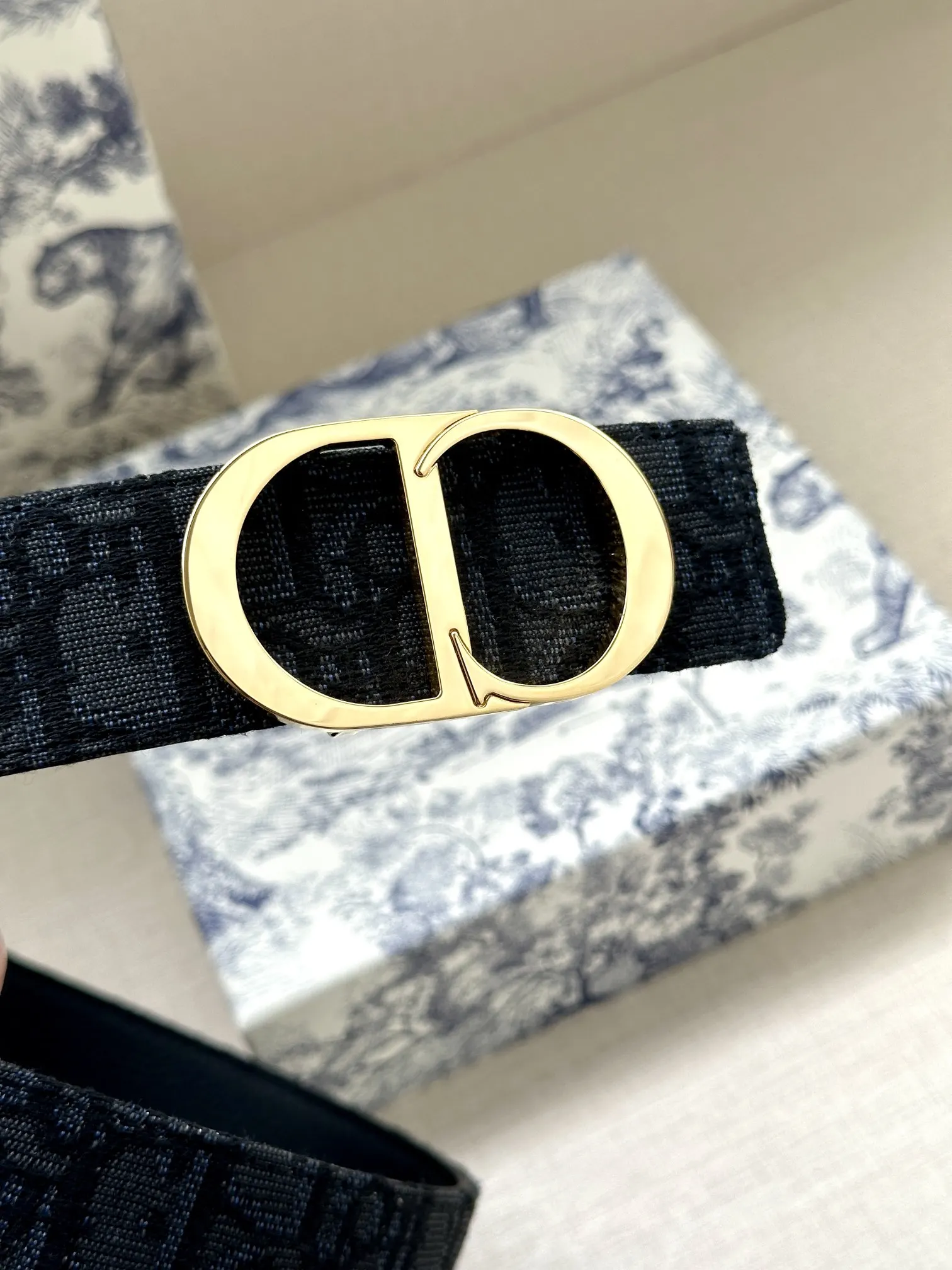 Dior Oblique 黑色/银色 腰带