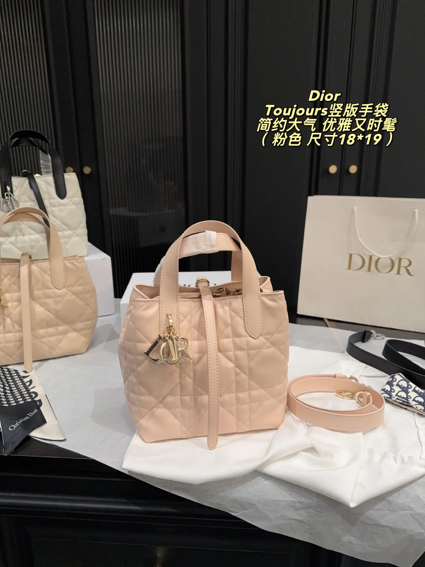 Dior Organizer Pouch Travel