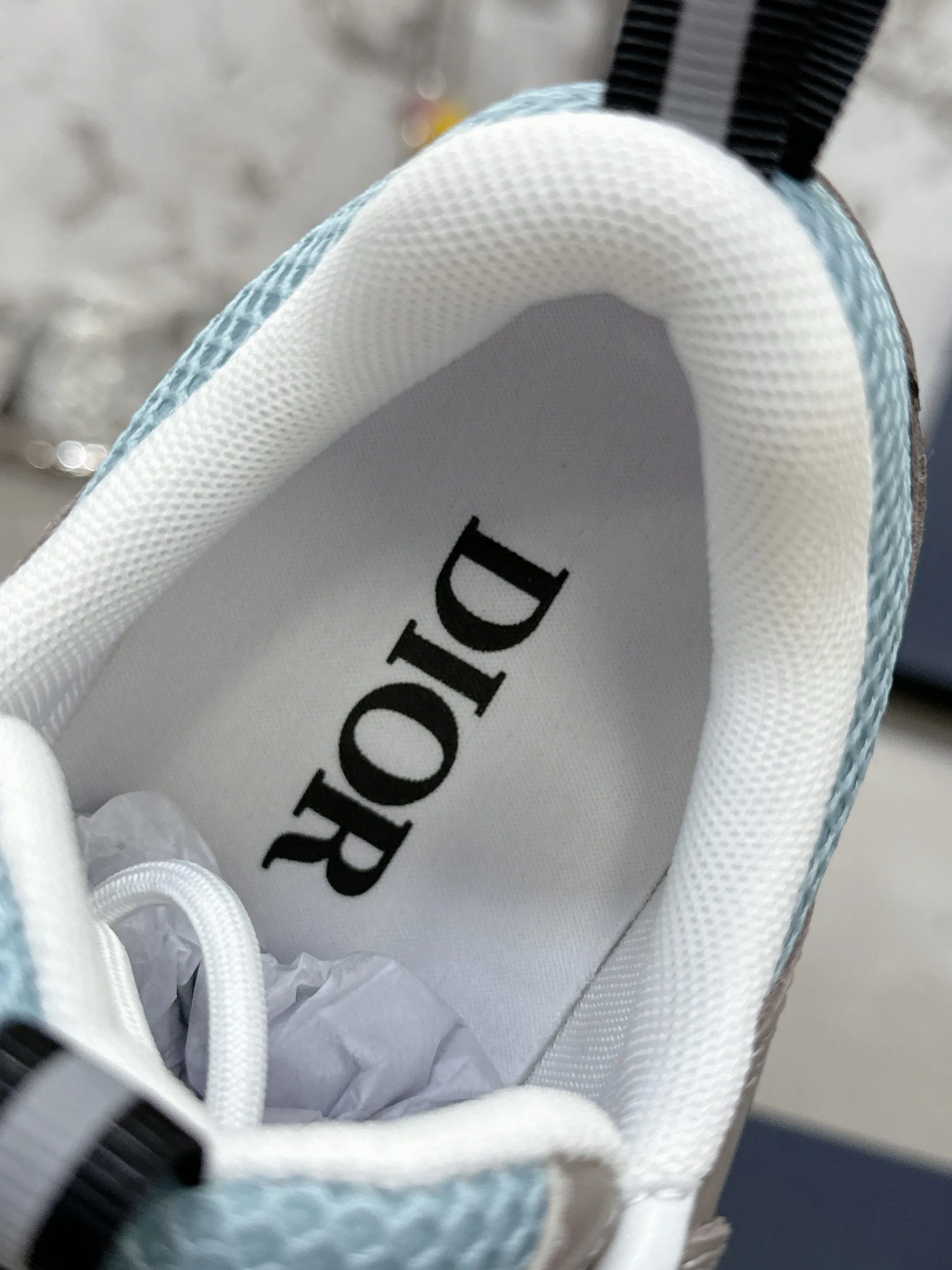 Dior B22 运动鞋