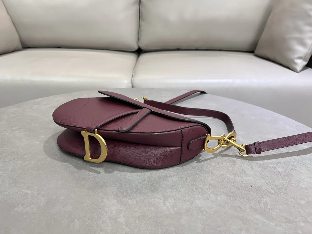 Dior Saddle 红色 手提包