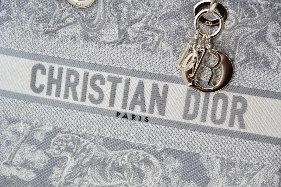 Dior 灰色 金色 斜背包 輕便斜挎款
