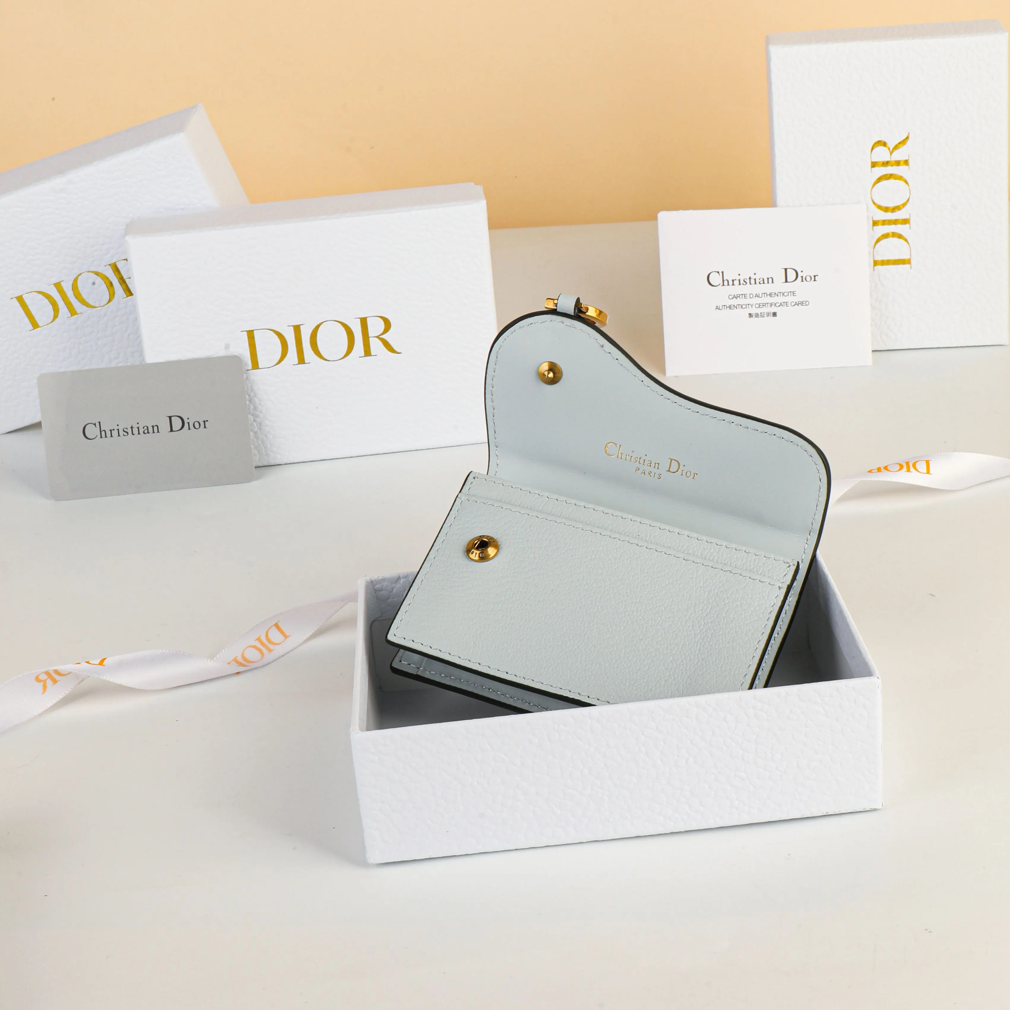 Dior Saddle 皮革 钱包