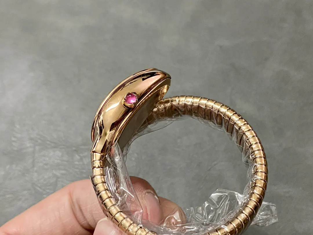 Bottega Veneta 手表 经典腕表款