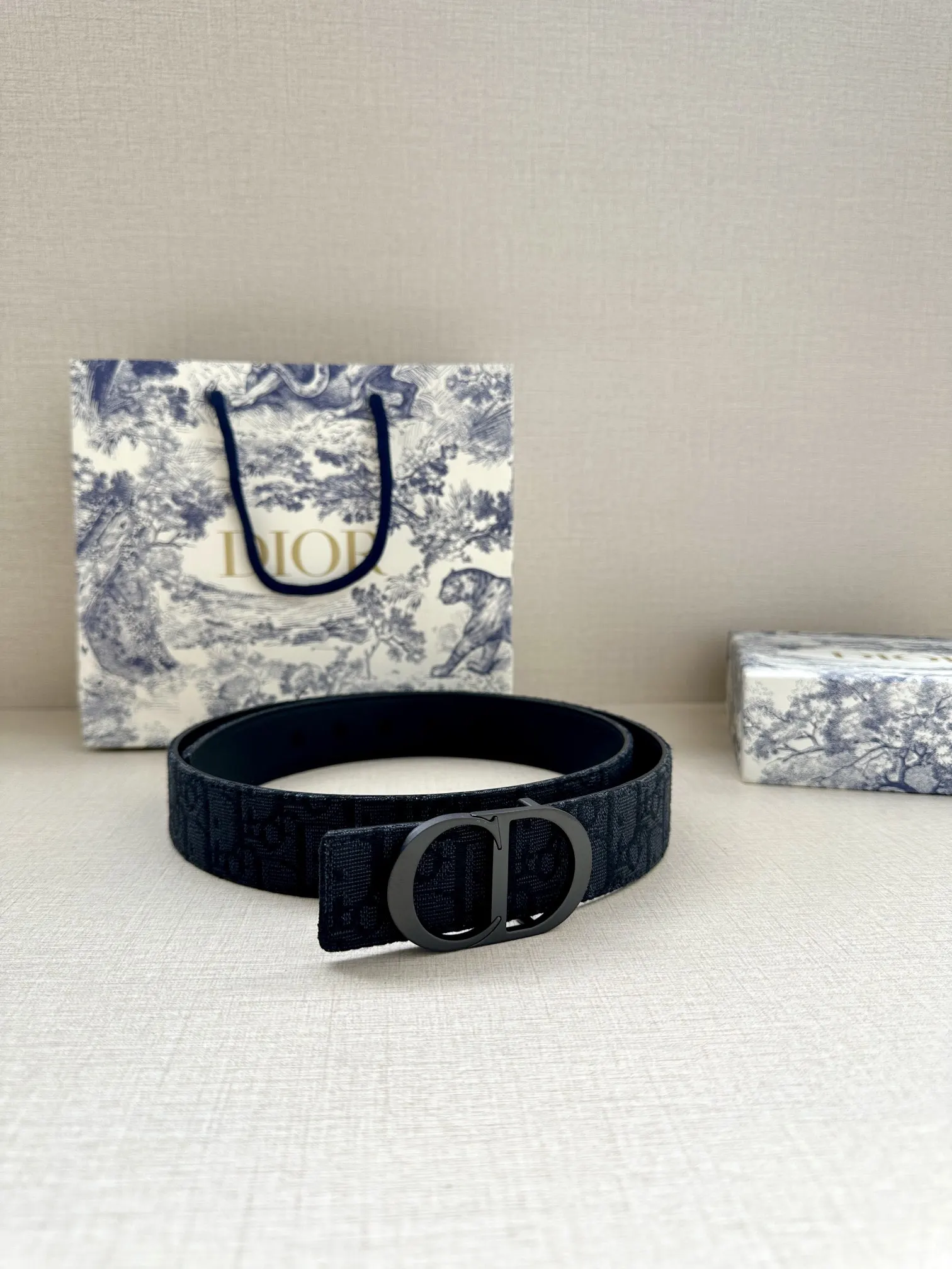 Dior 黑色Oblique腰带 黑扣款