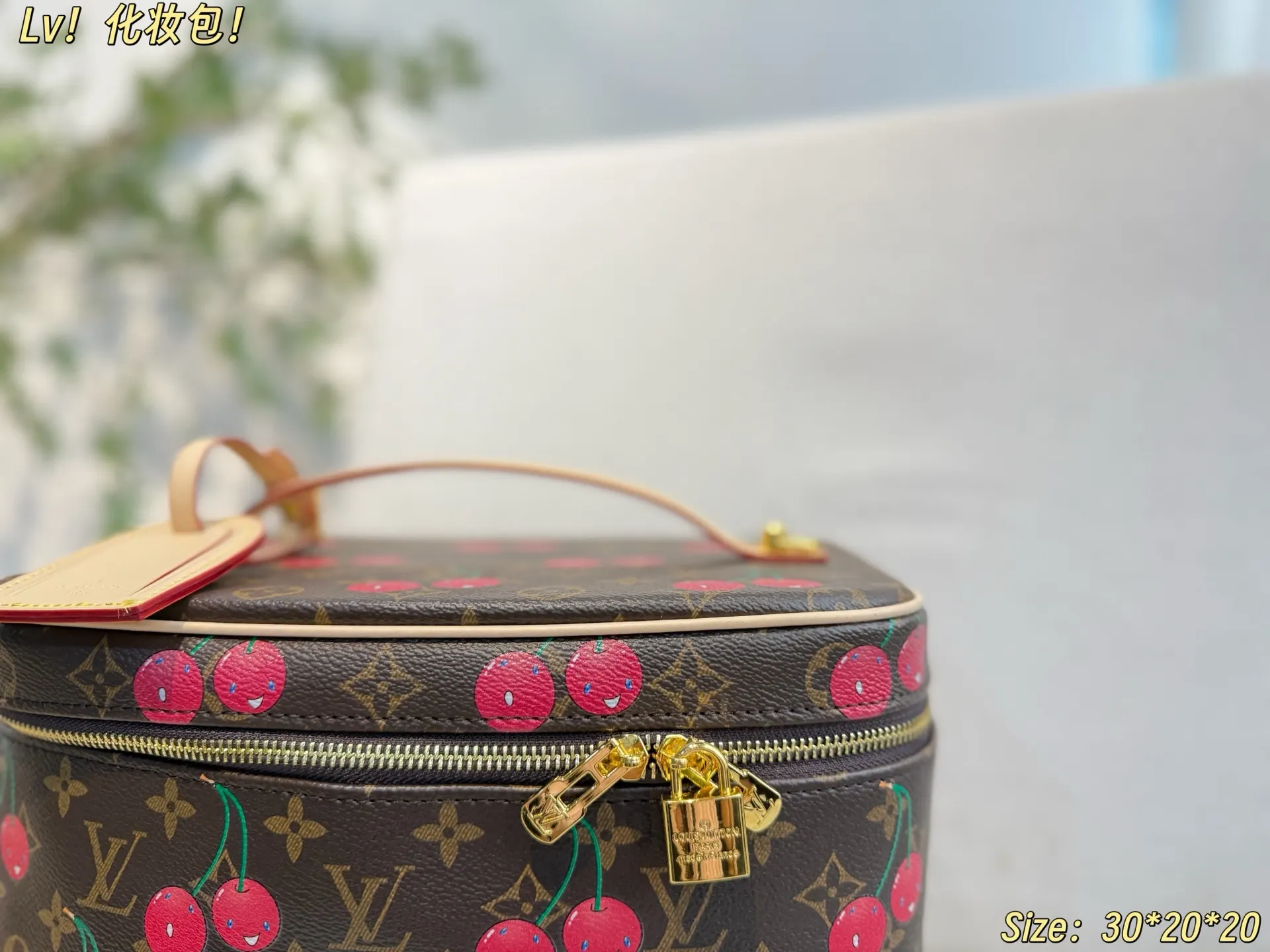 Louis Vuitton Cosmetic Pouch