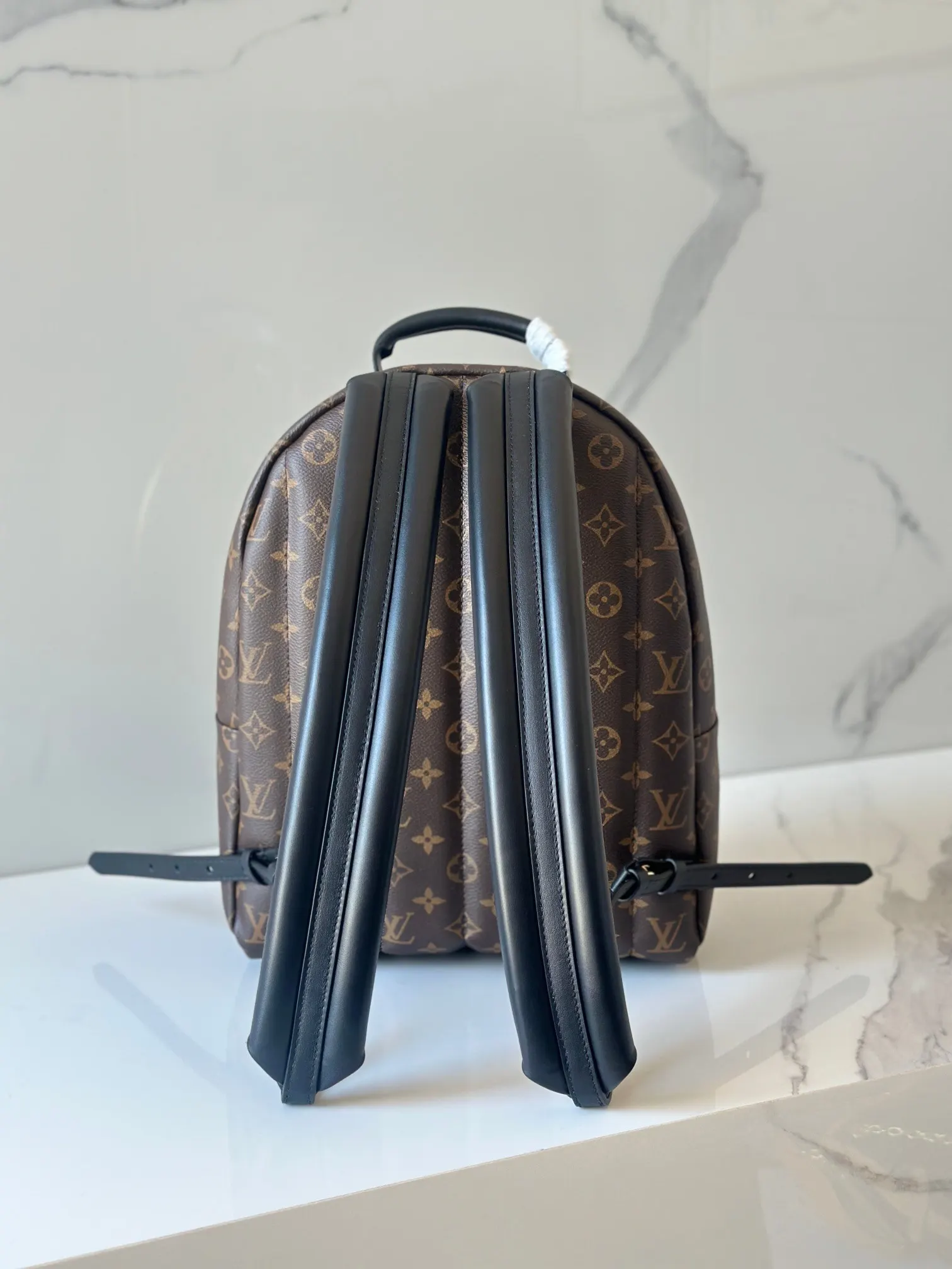 Backpack Leather