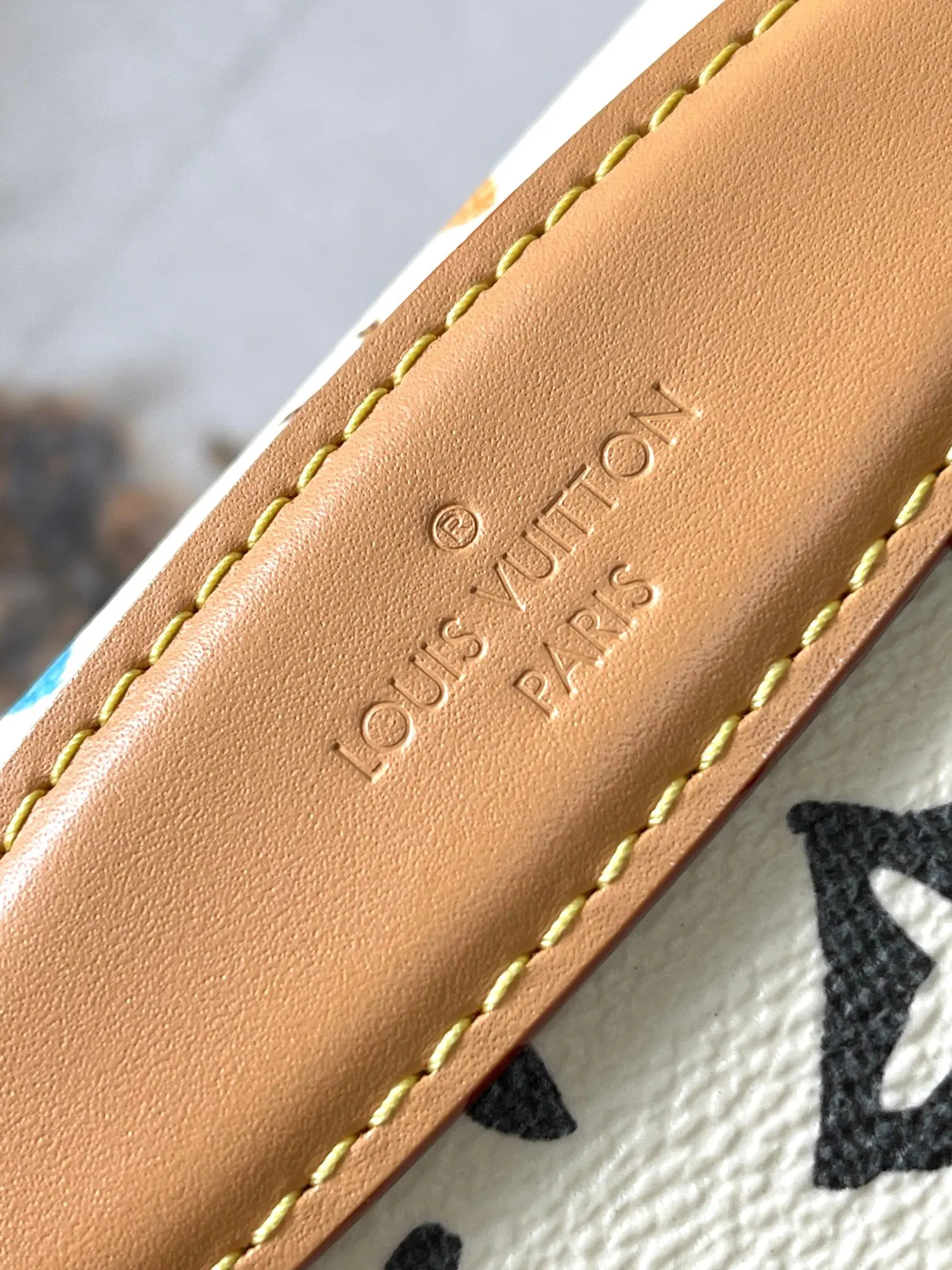 Louis Vuitton Belt Bag Casual Canvas