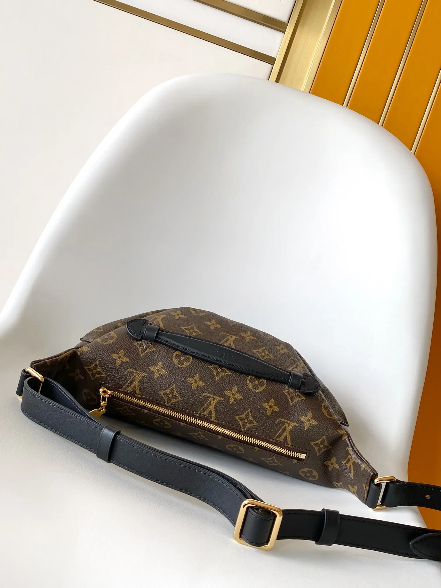 Louis Vuitton Belt Bag Casual Canvas